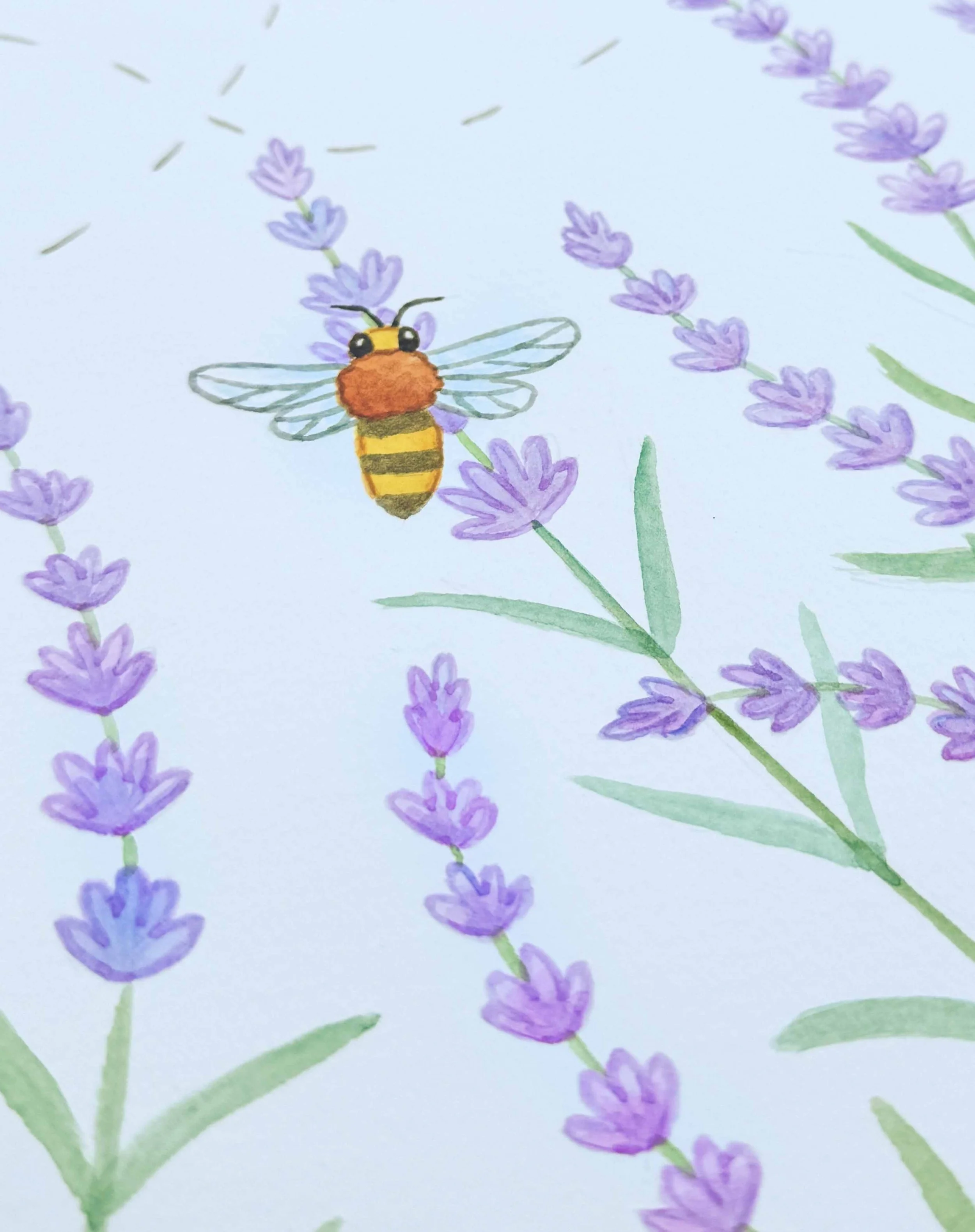 Bees n Lavender 4.jpg