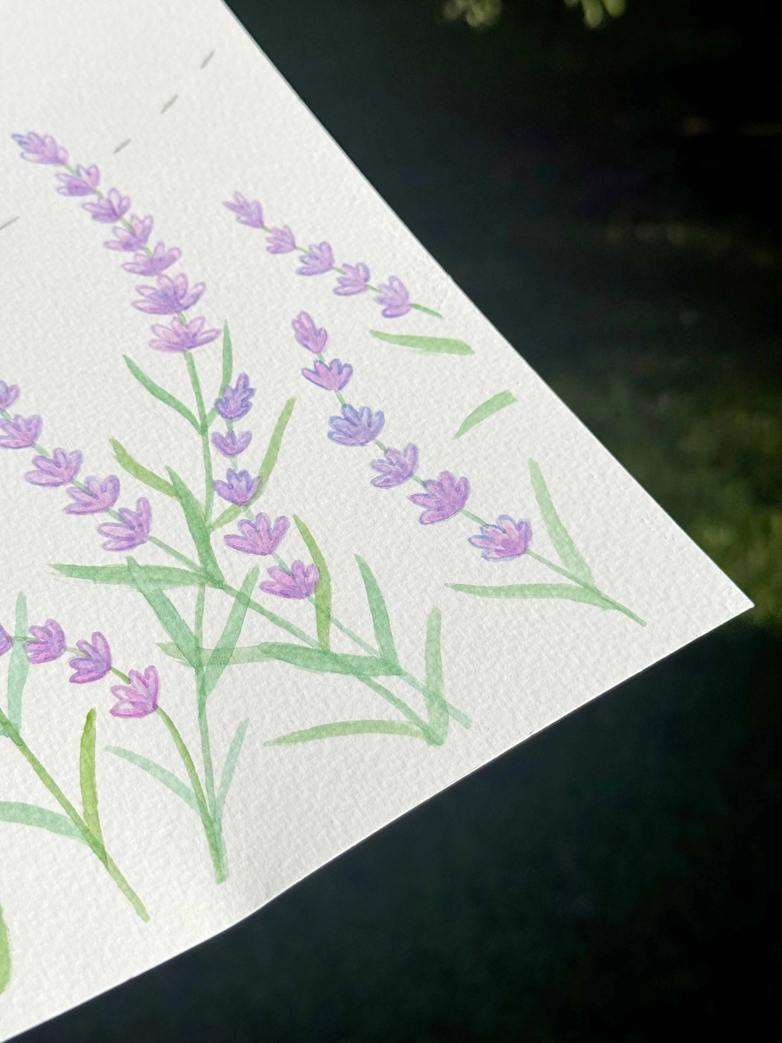 Bees n Lavender 3.jpg