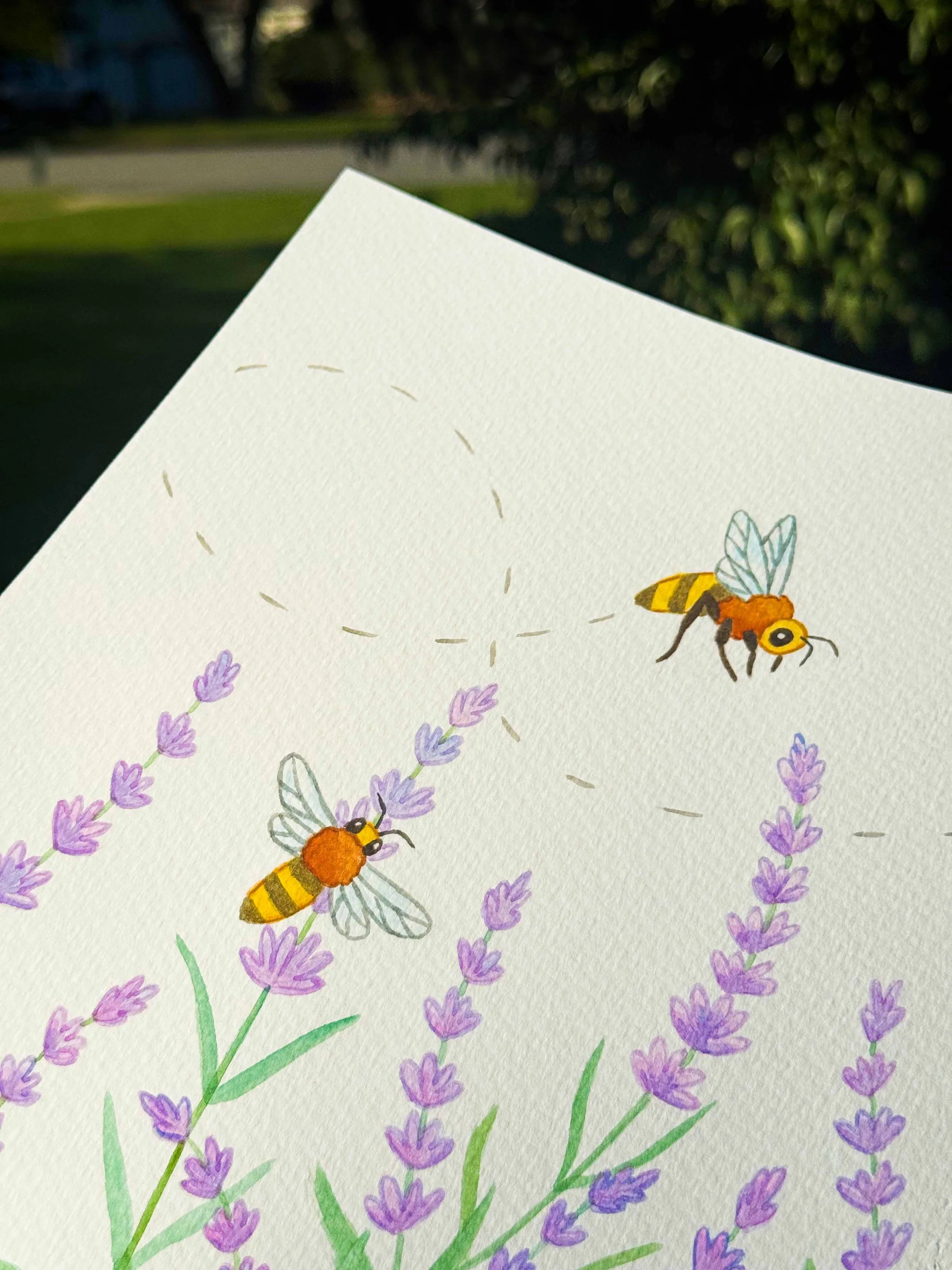 Bees n Lavender 2.jpg