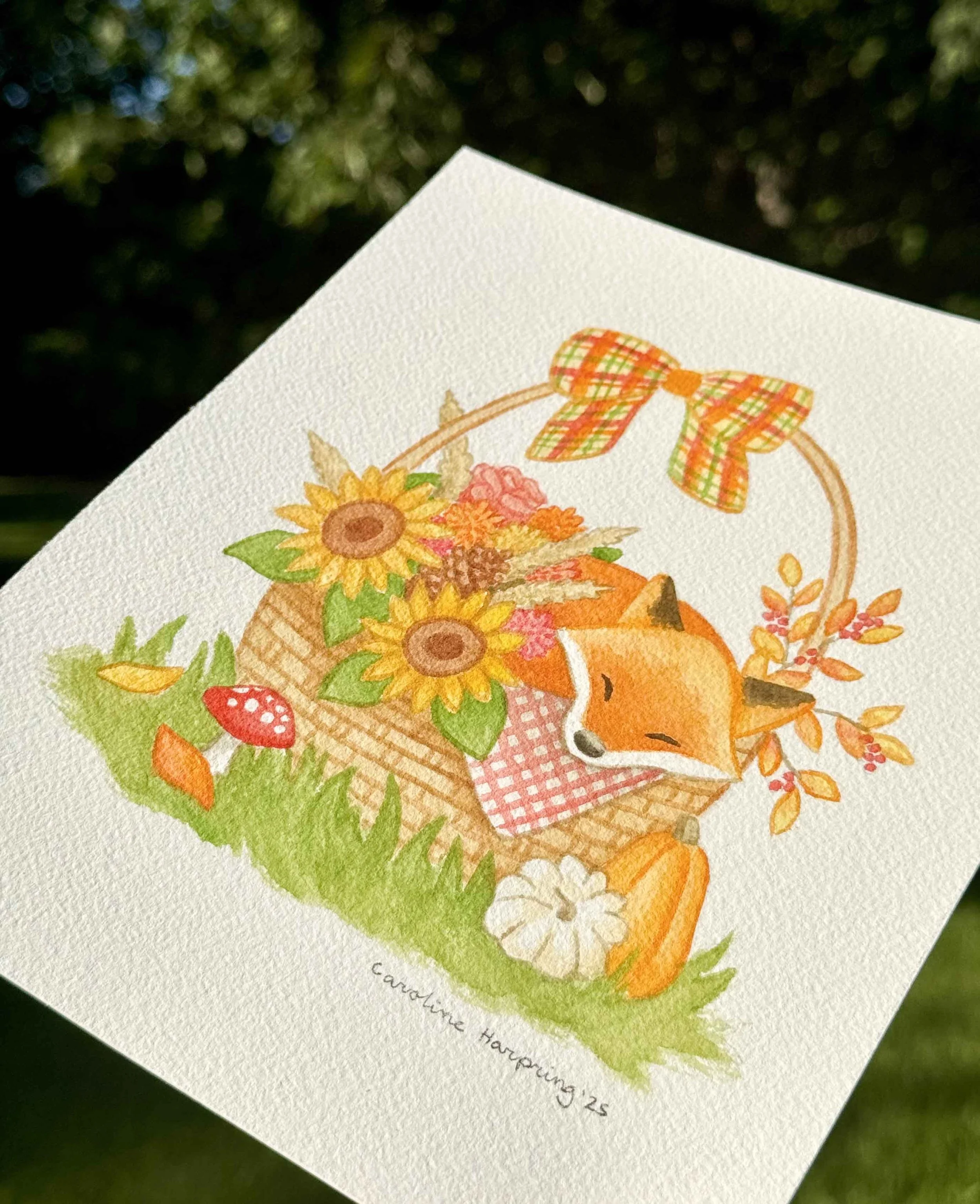 Fox in Basket OG 2.jpg