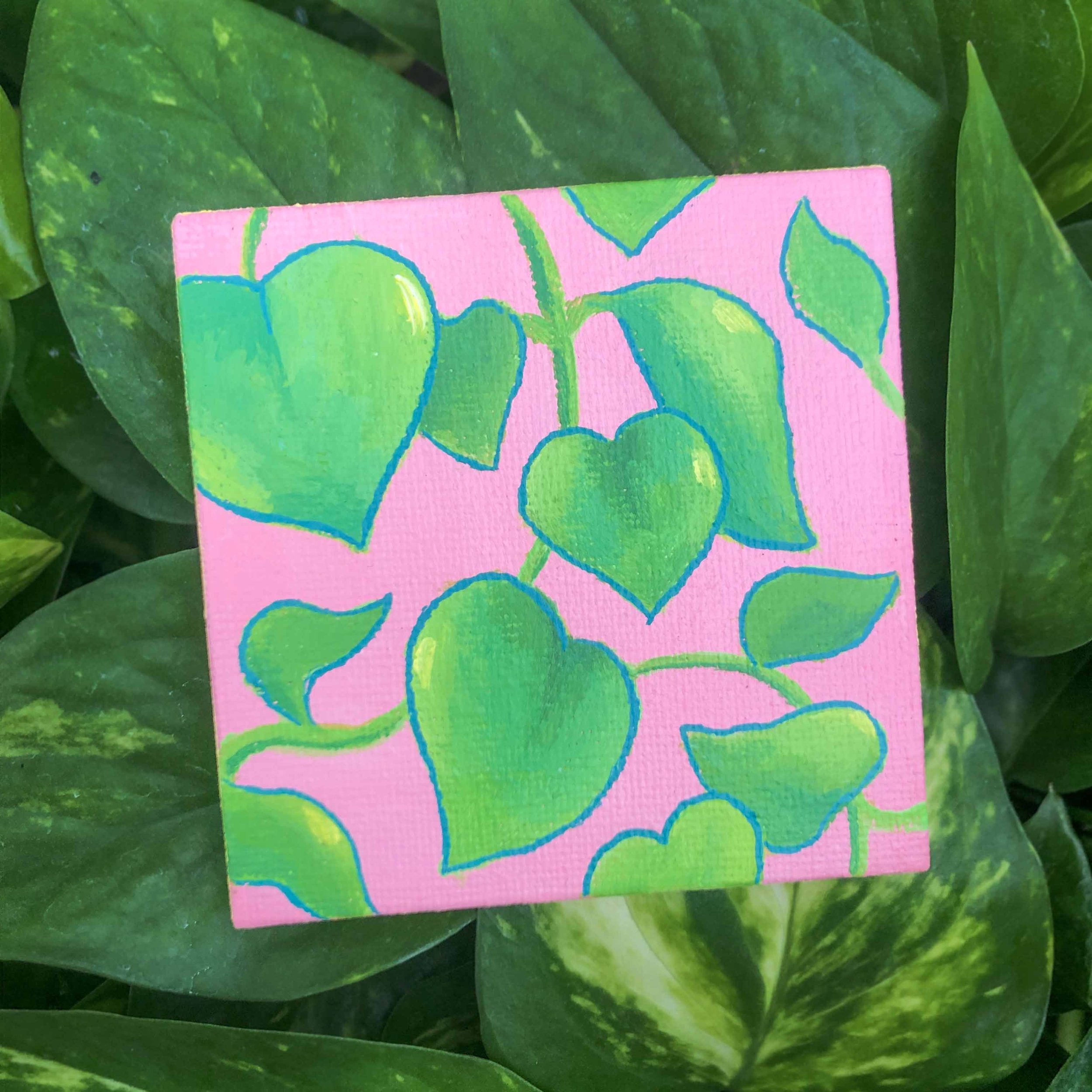 Pothos.jpg