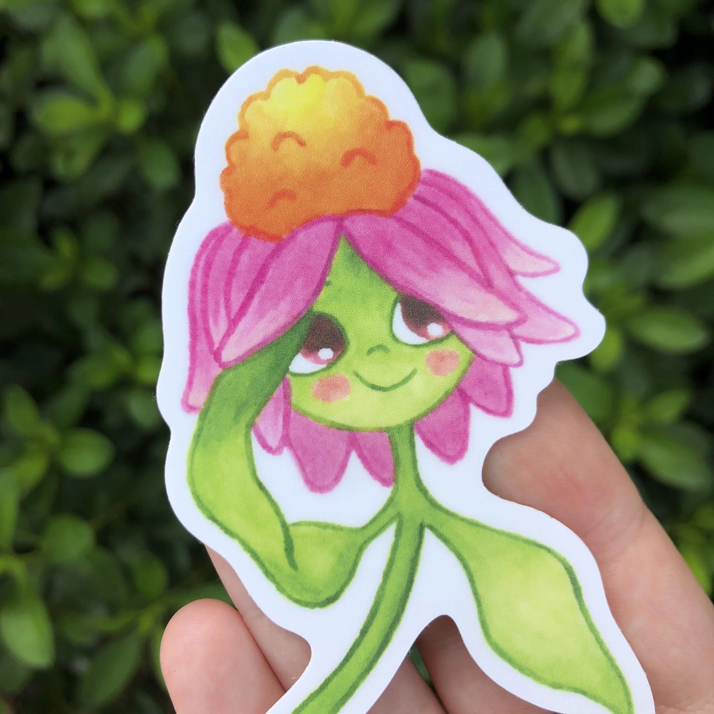 Coneflower Sticker 2.jpg