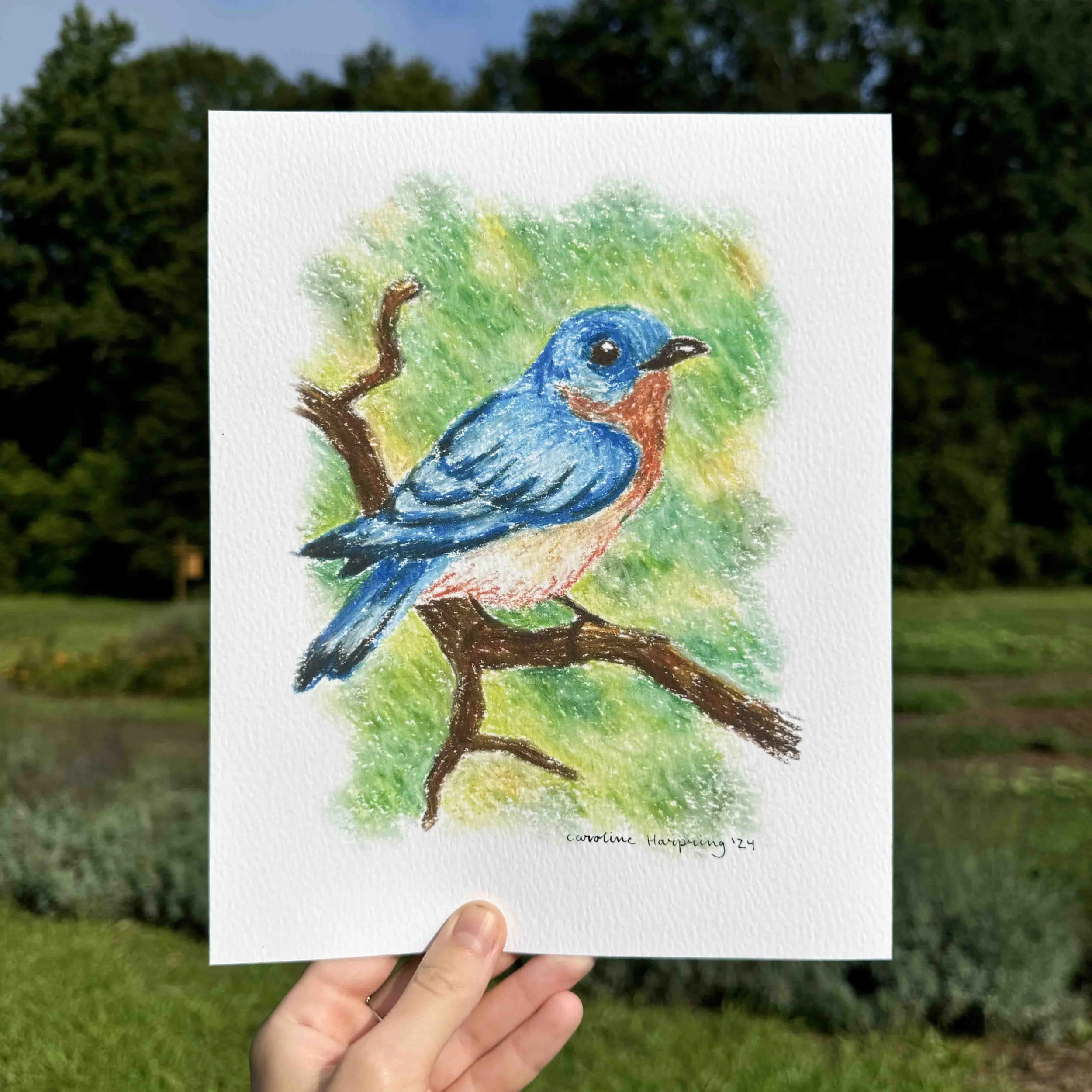 Bluebird Print.jpg