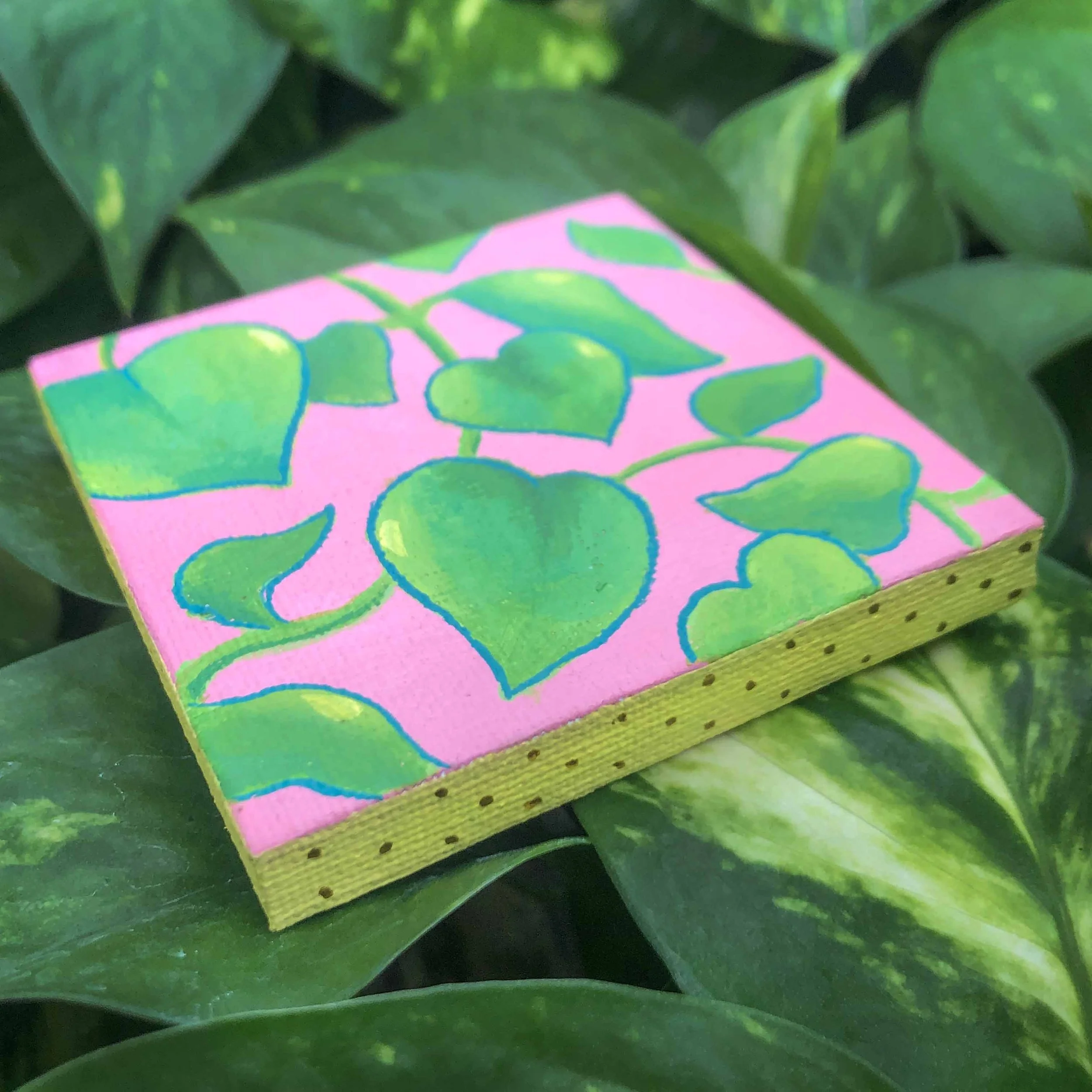 Pothos 2.jpg