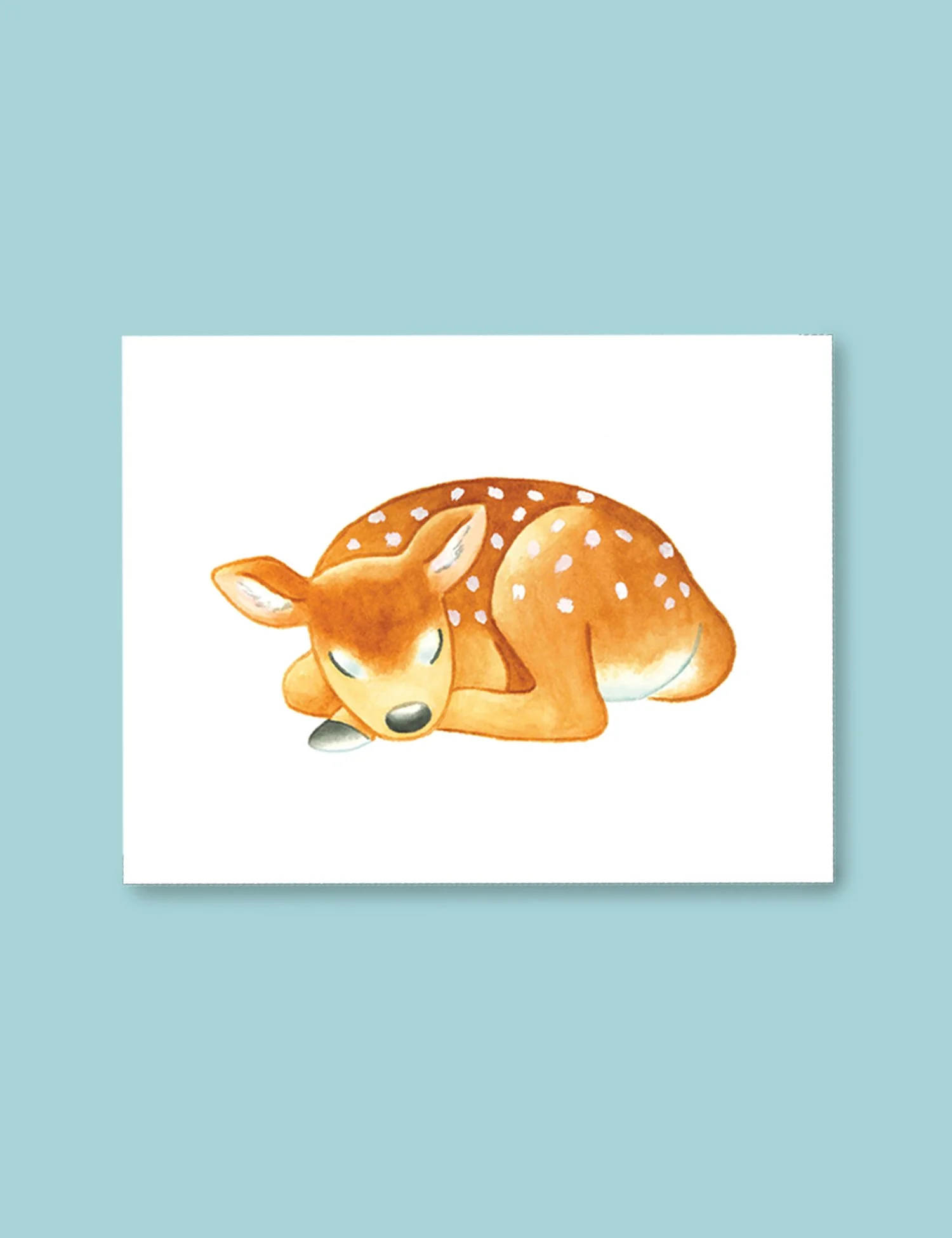 Fawn pic.jpg