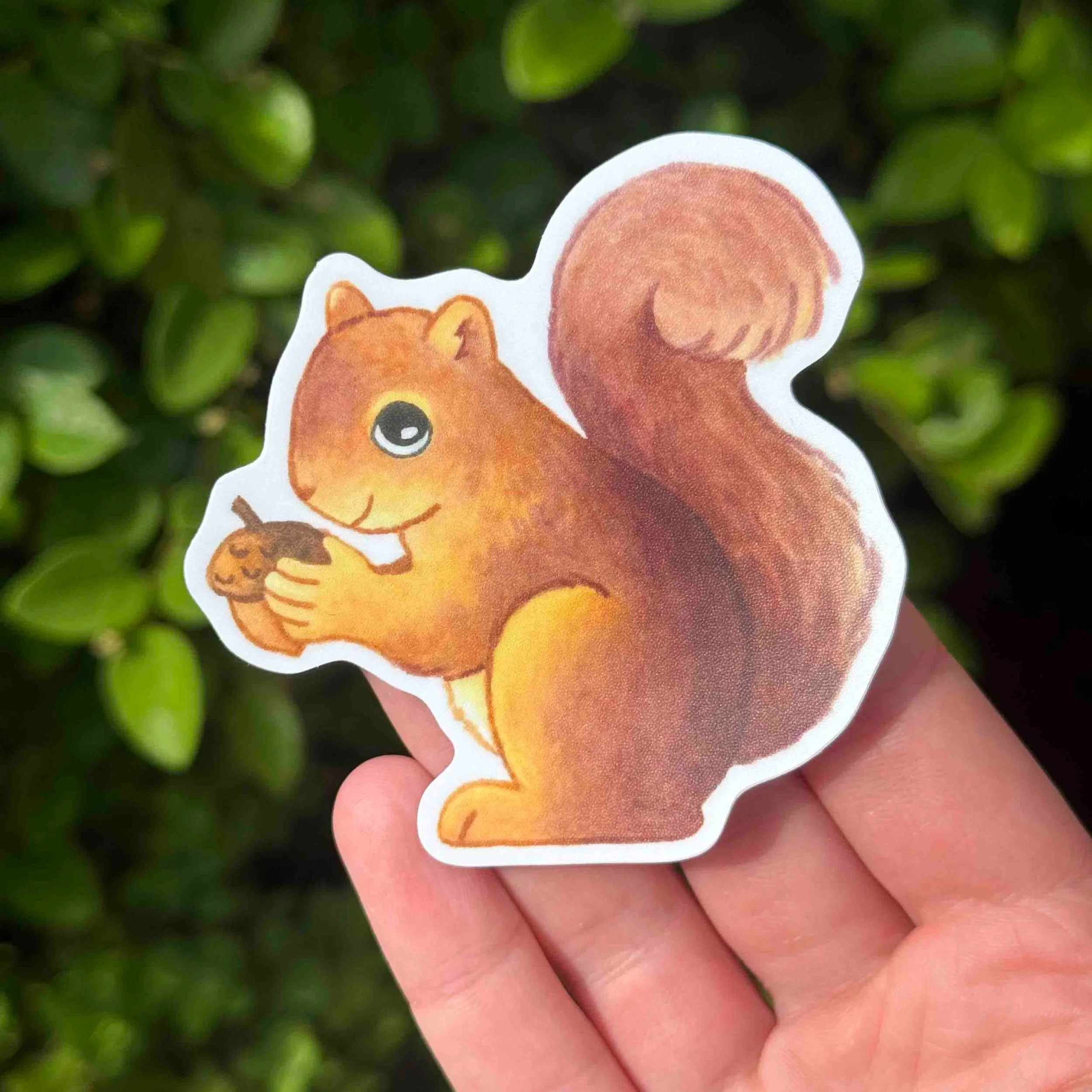 Squirrel+Sticker.jpg