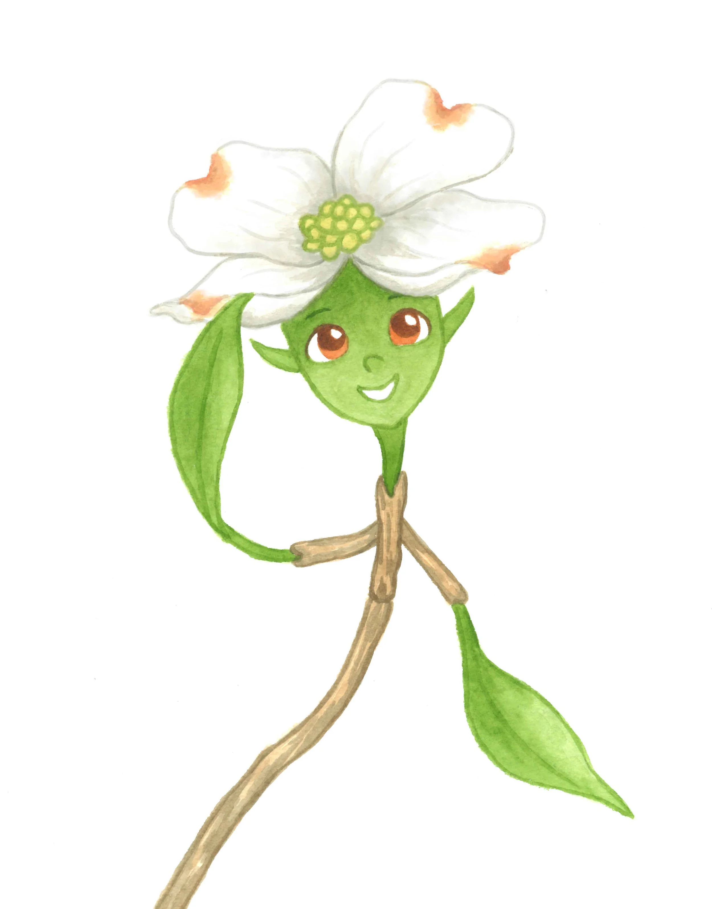 Dogwood LR.jpg