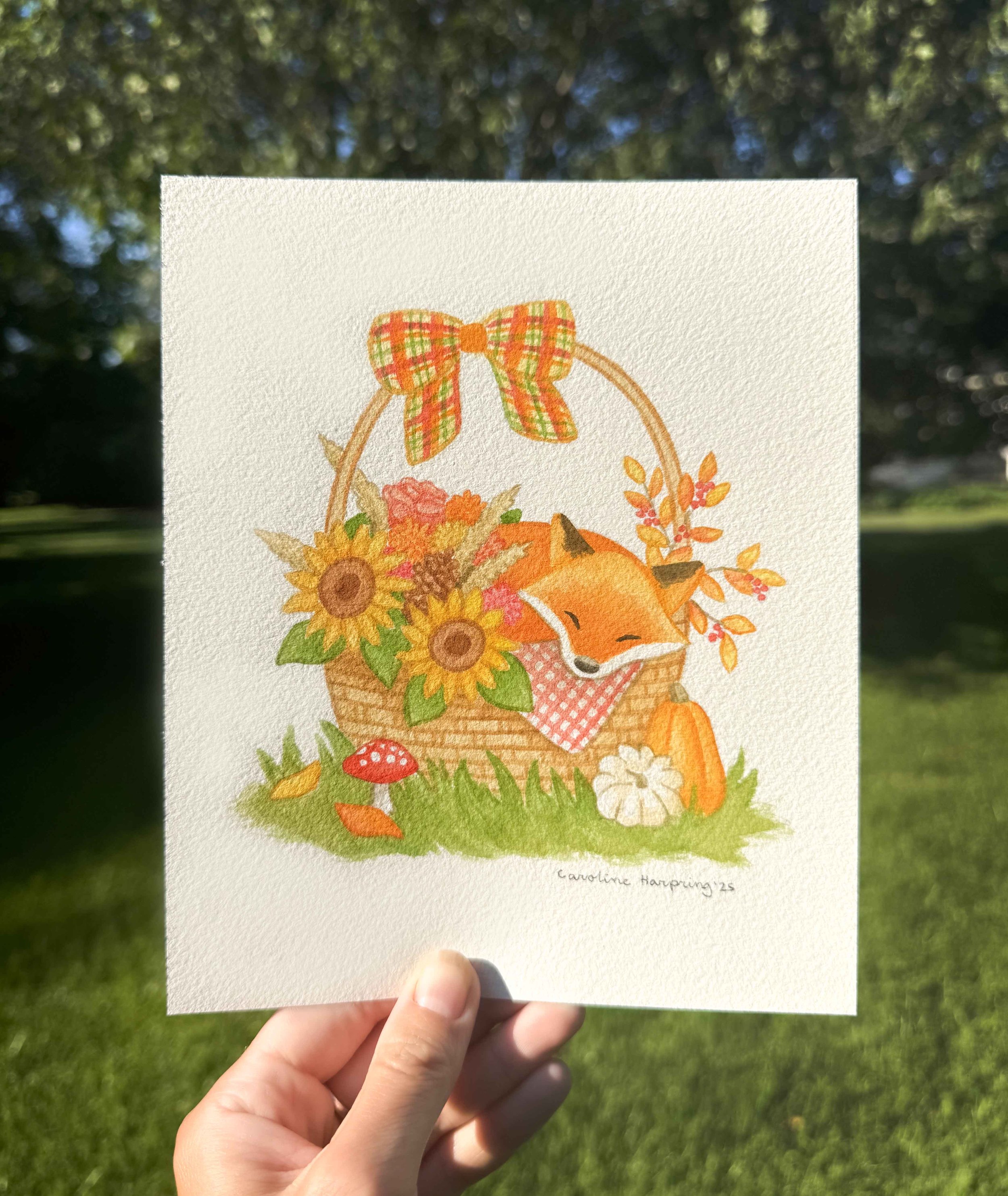 Fox in Basket OG.jpg