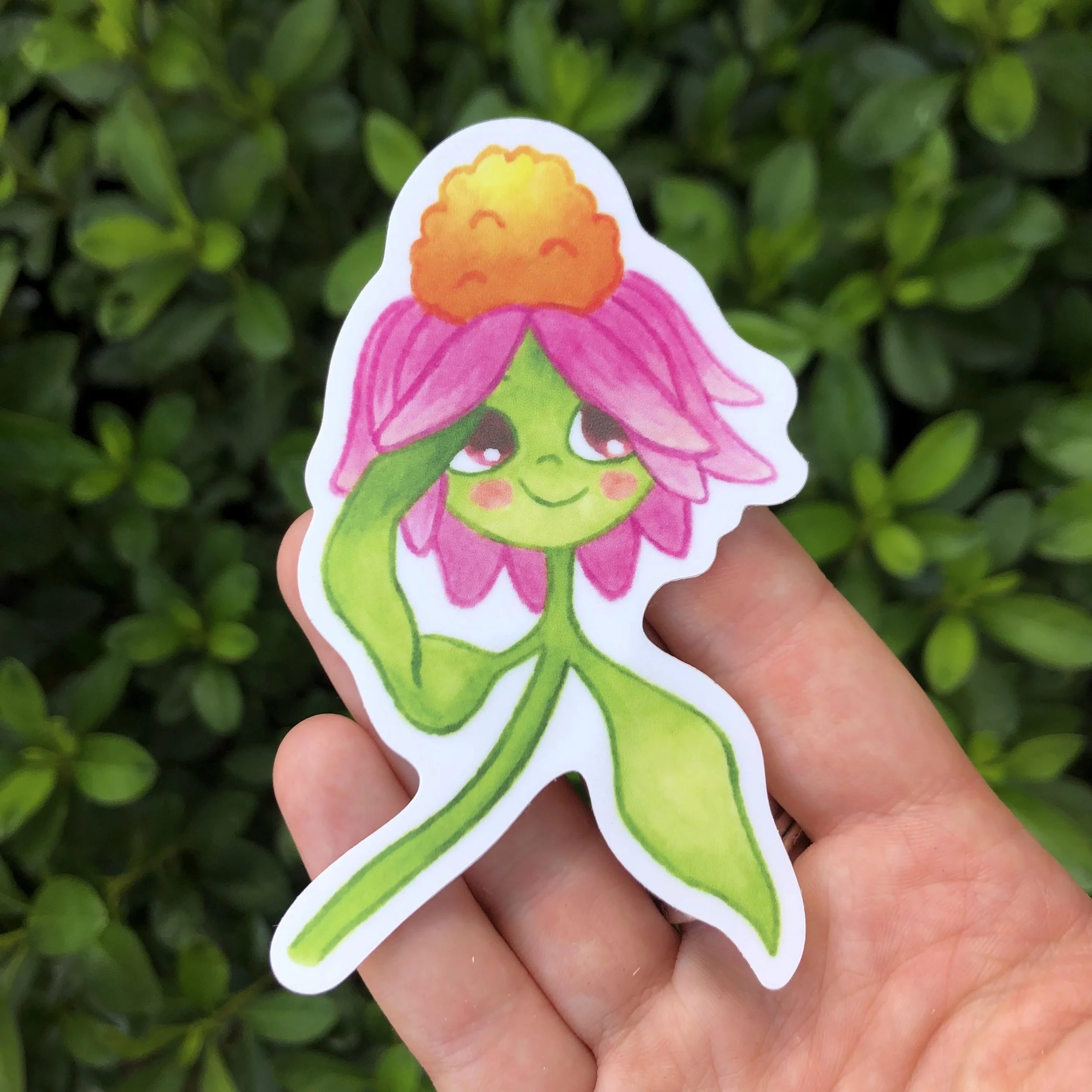 Coneflower Sticker.jpg