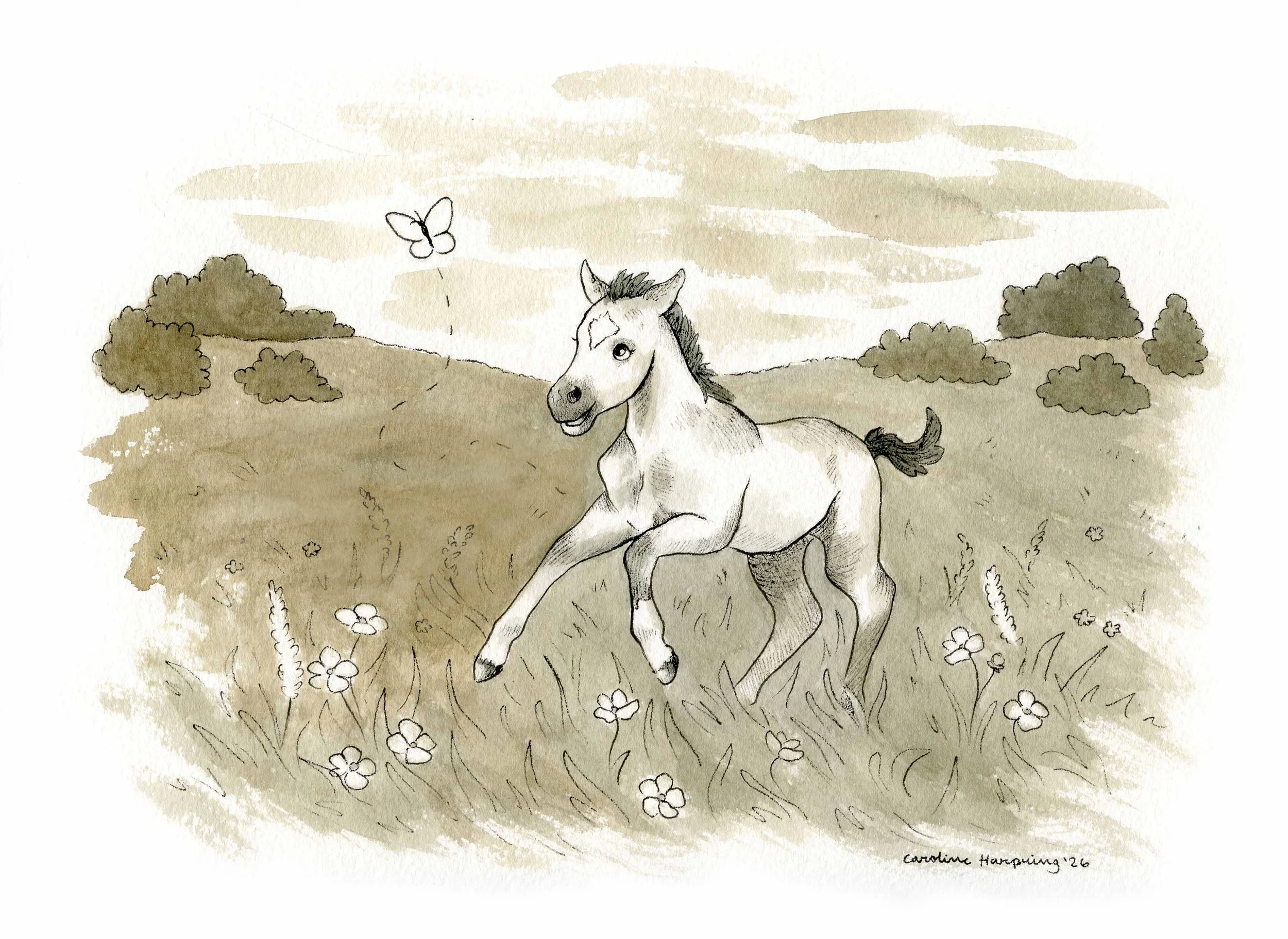 Frolicking Filly.jpg