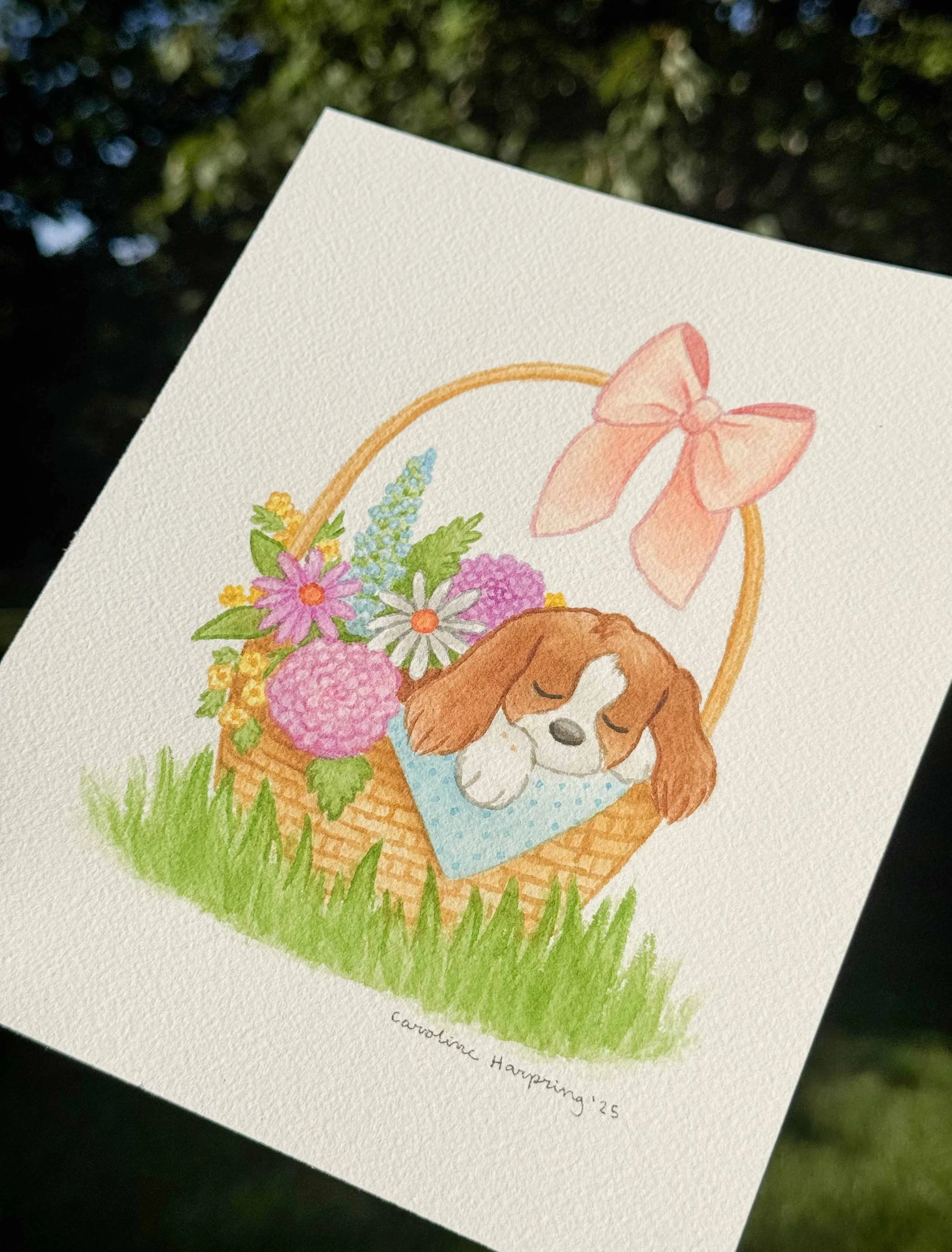 Puppy in Basket OG 2.jpg