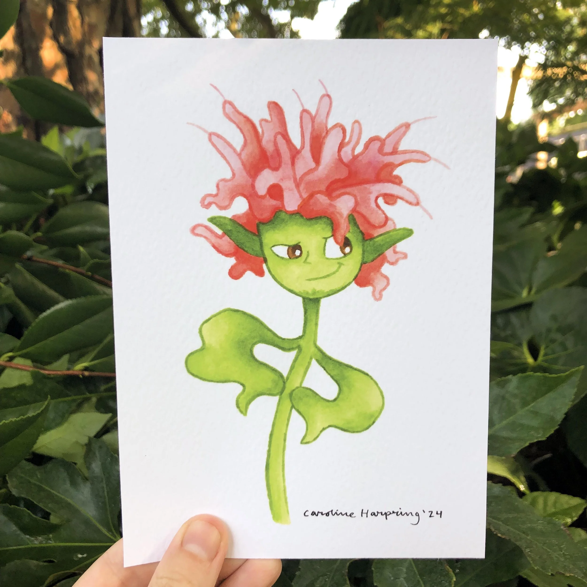 Bee Balm Print.jpg