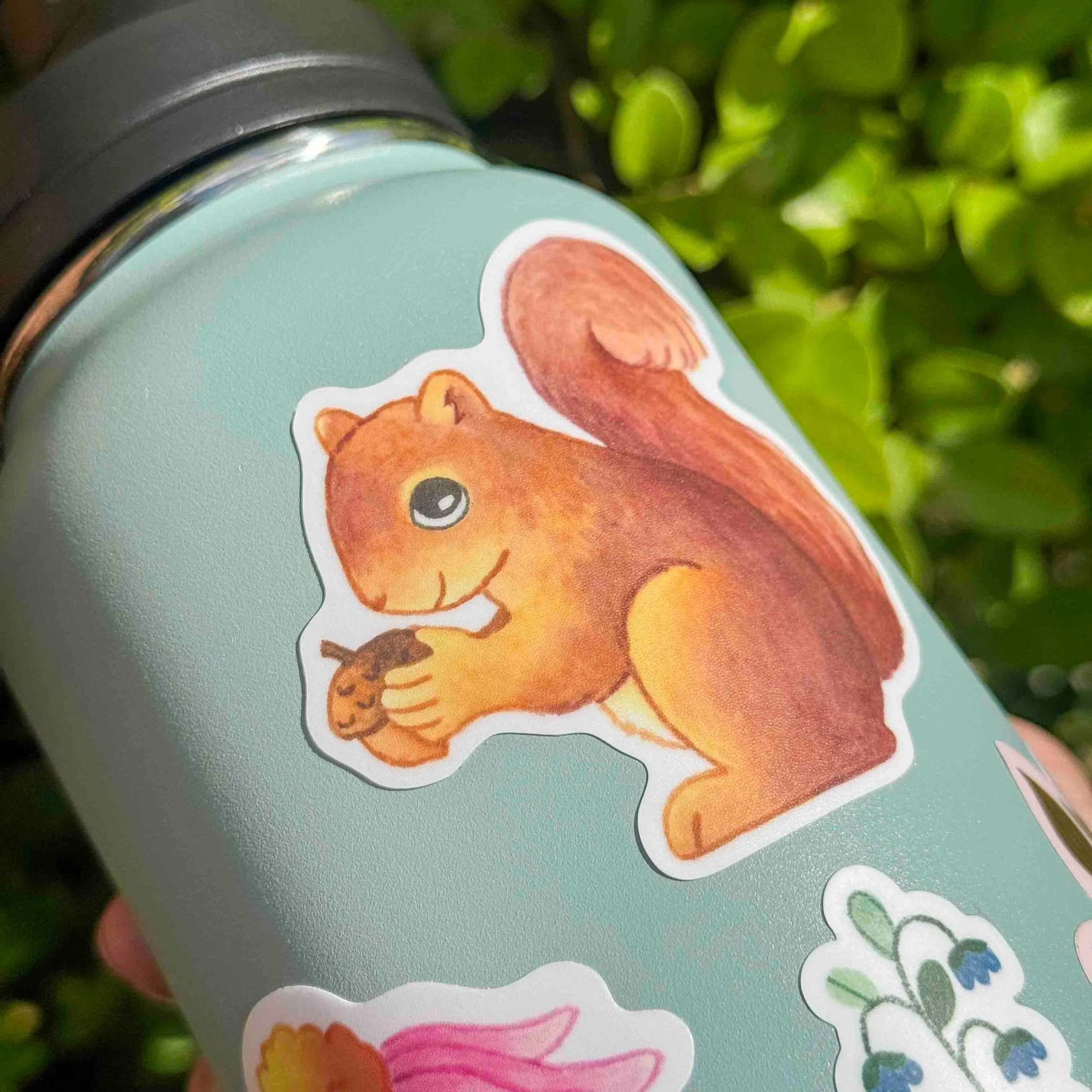Squirrel+Sticker+4.jpg