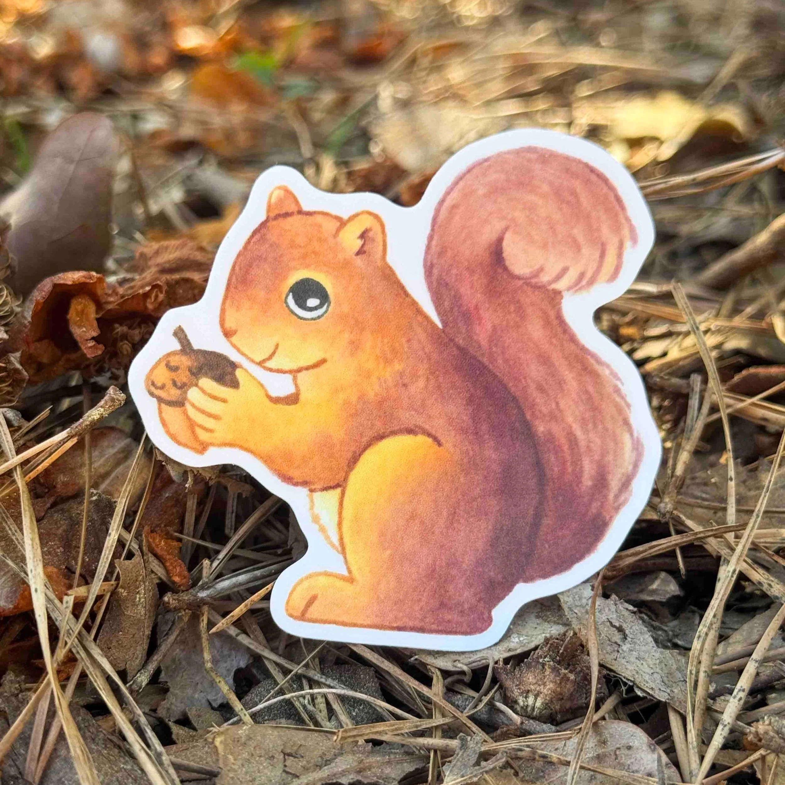 Squirrel+Sticker+2.jpg