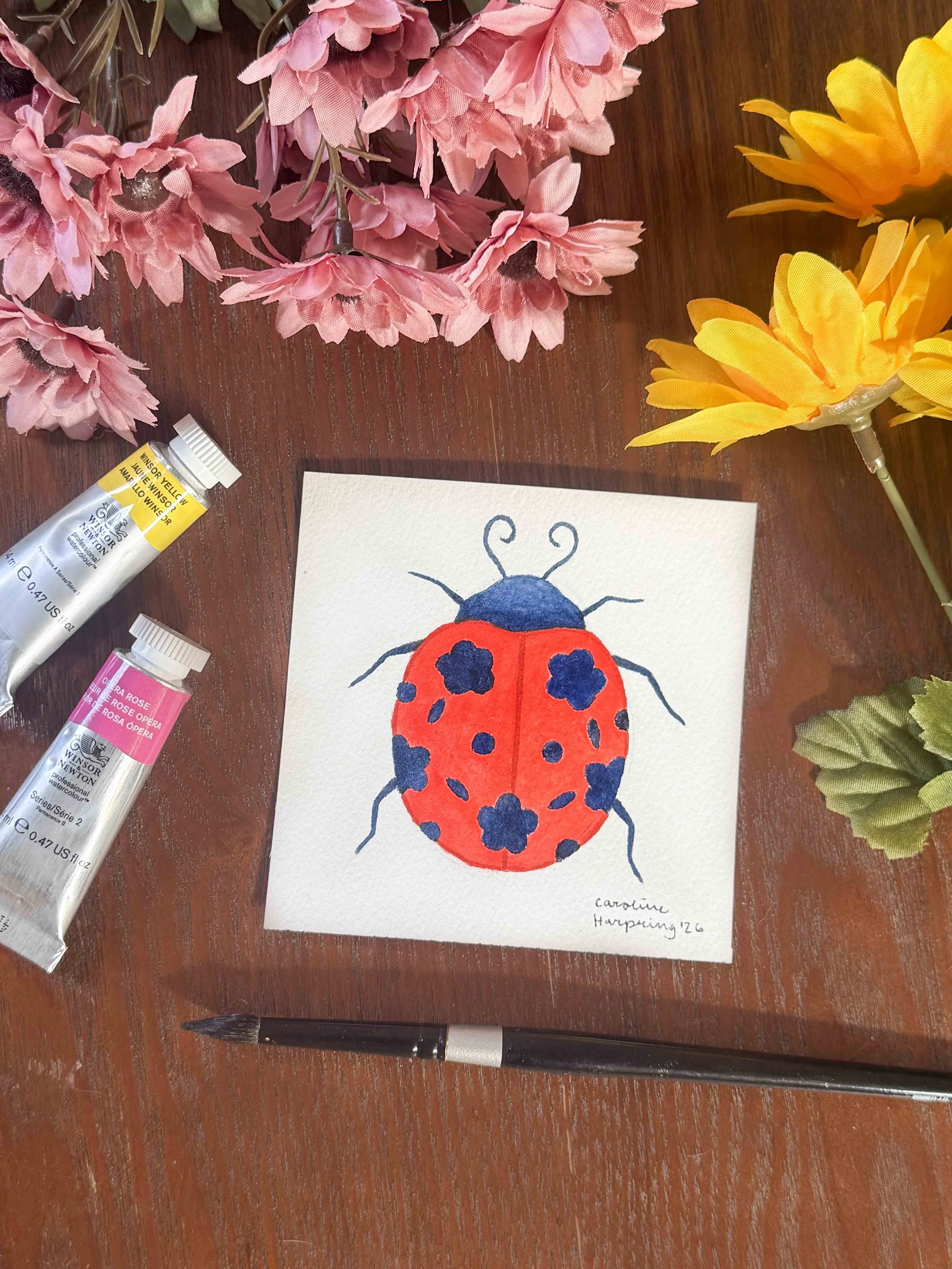 Ladybug Photo.jpg