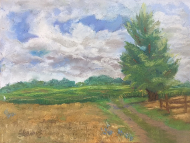 Crow Farm Field