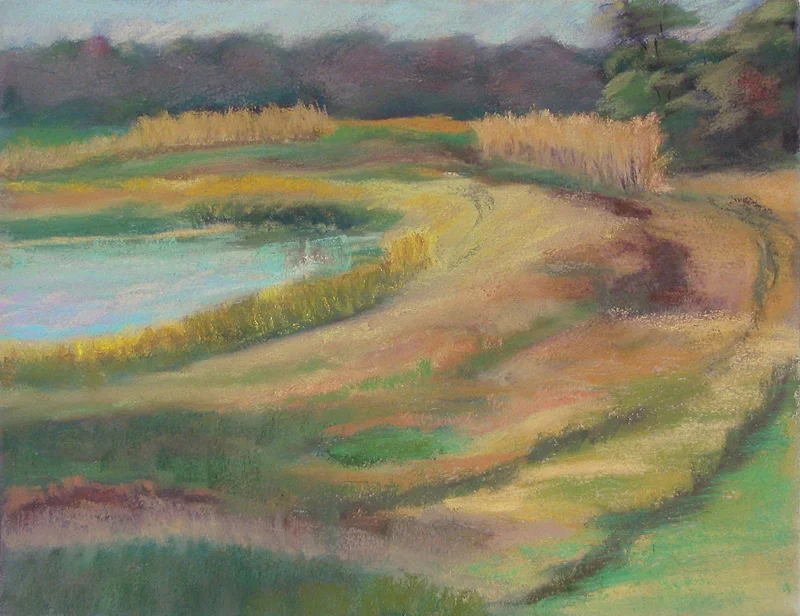 Farmer's Field