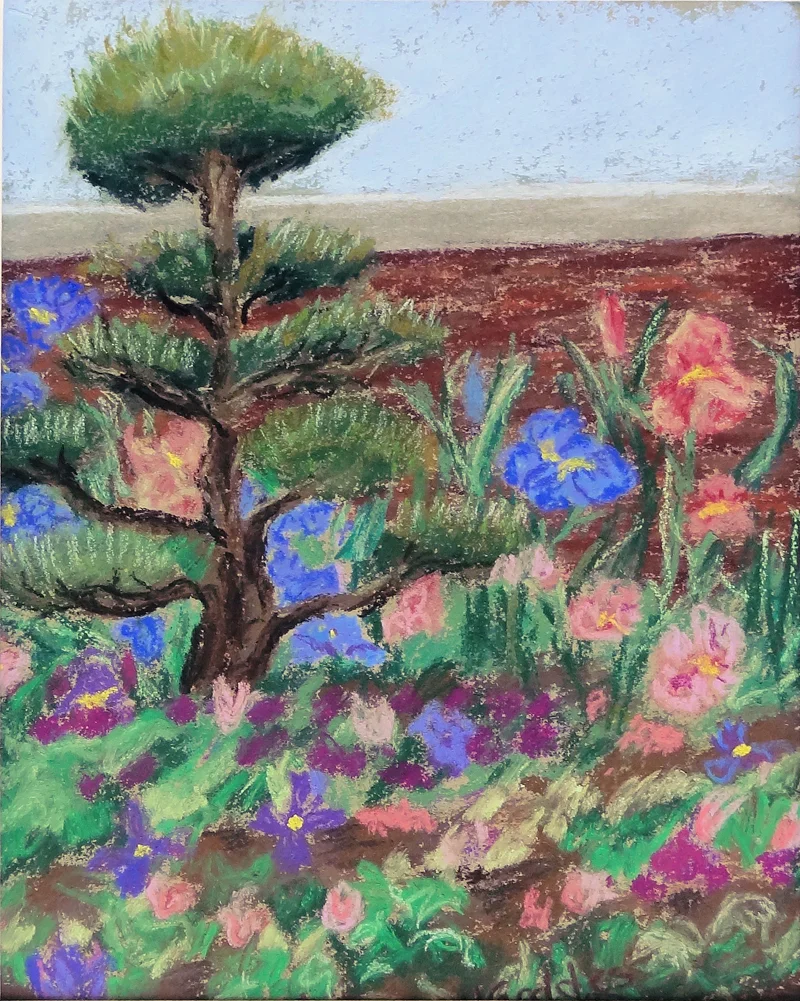 Neighbor's Back Garden