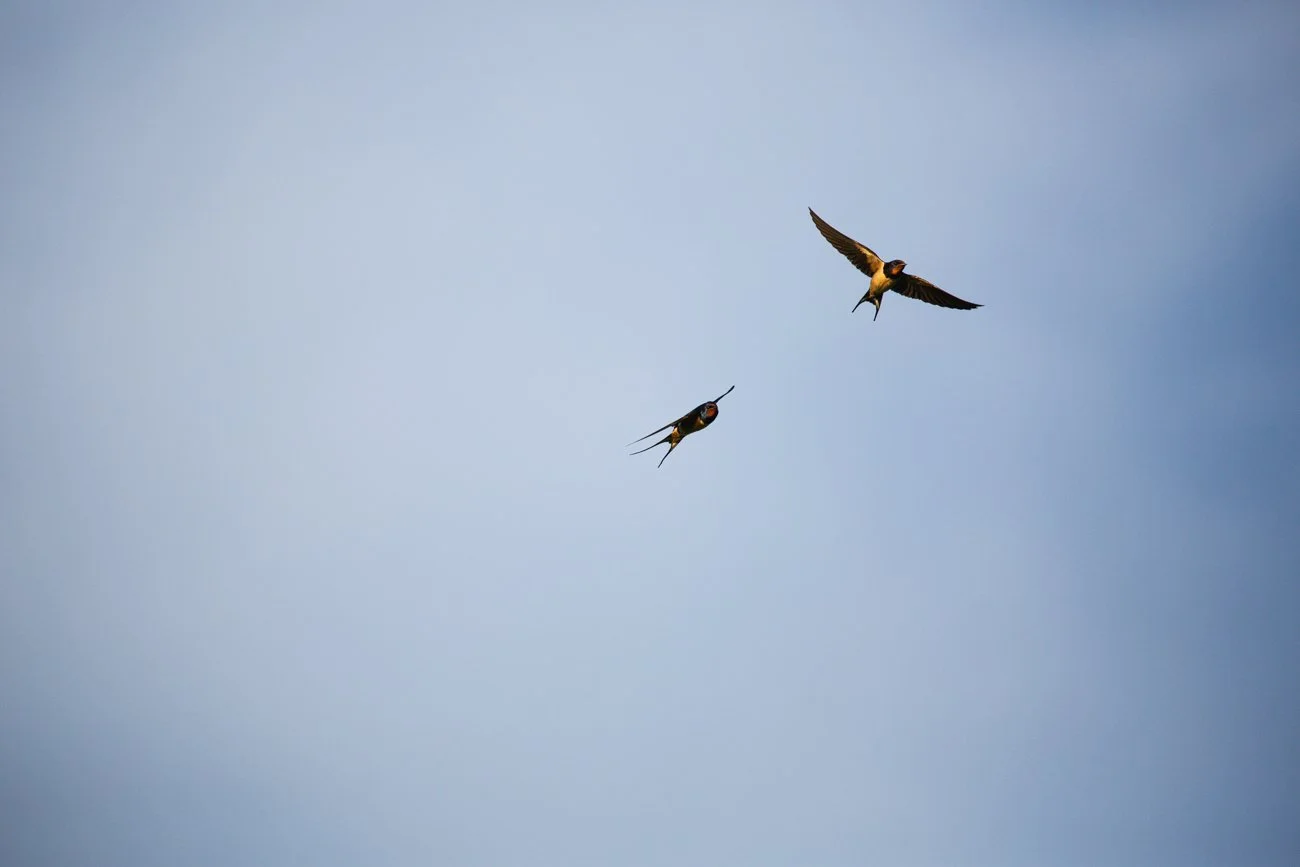 20210523-NIC_7904.jpg