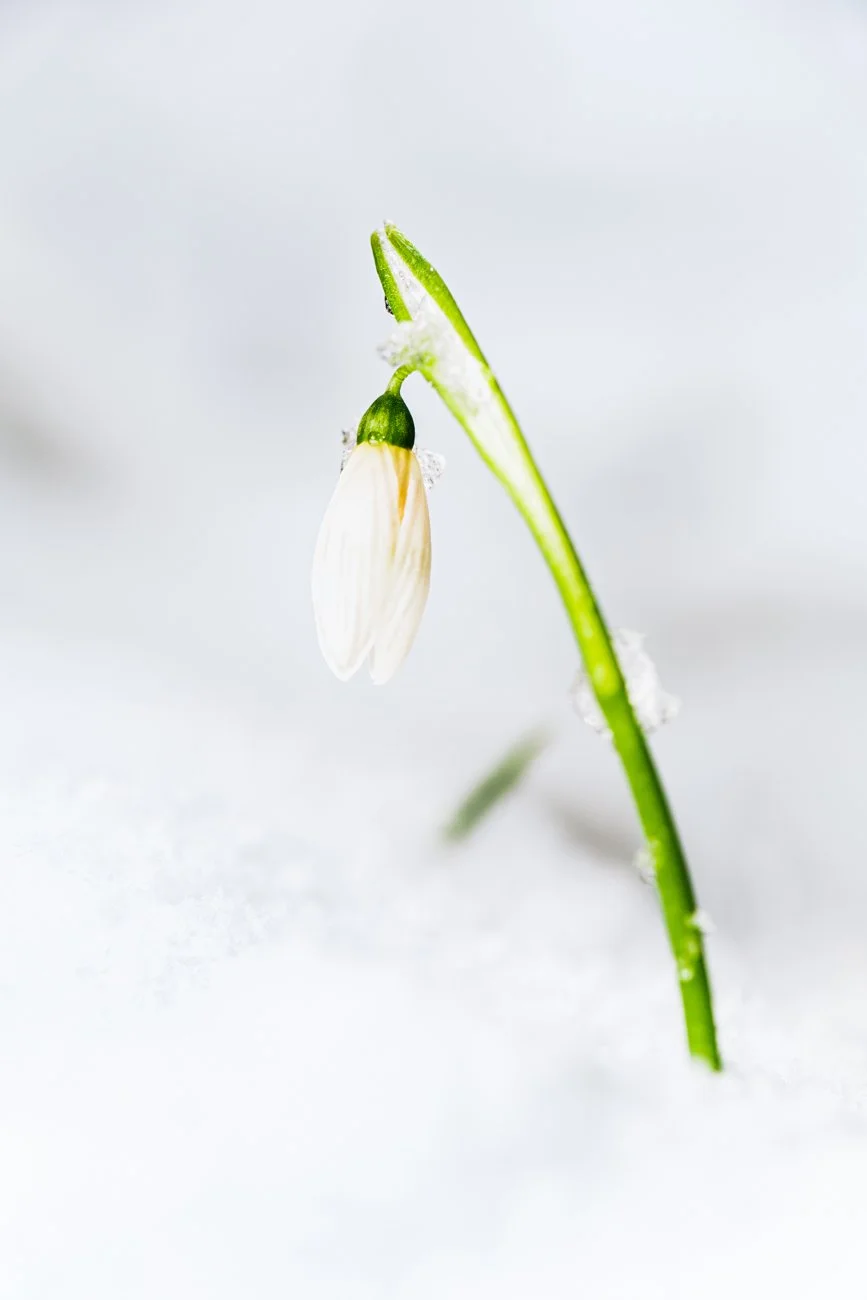 20210210-NIC_2543-Edit.jpg