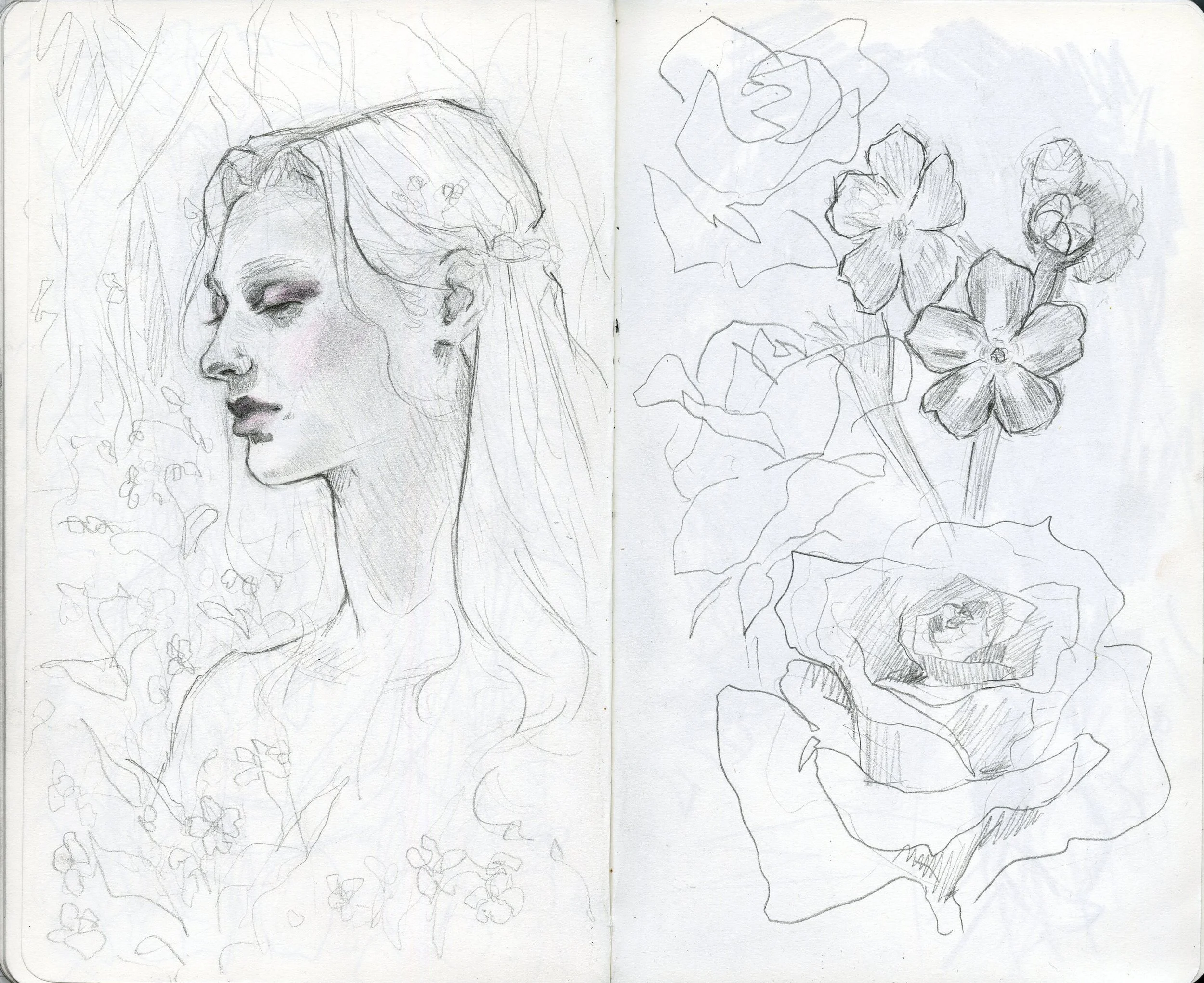sketchbook013.jpg