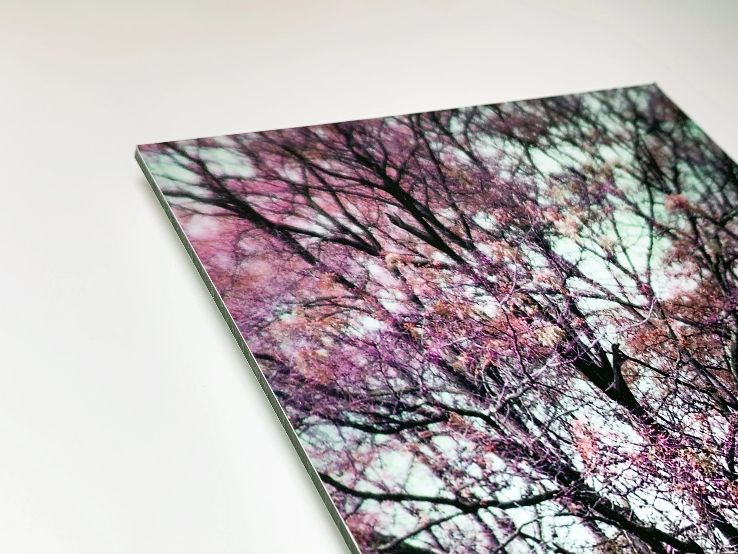 The Juniper Tree detail.JPG