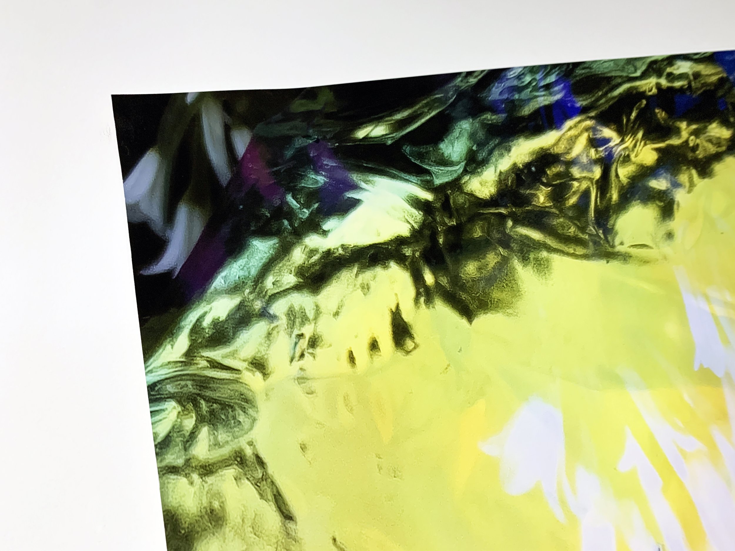 10. Detail Plantae Priscus Aqualis Virga 4.9.JPG