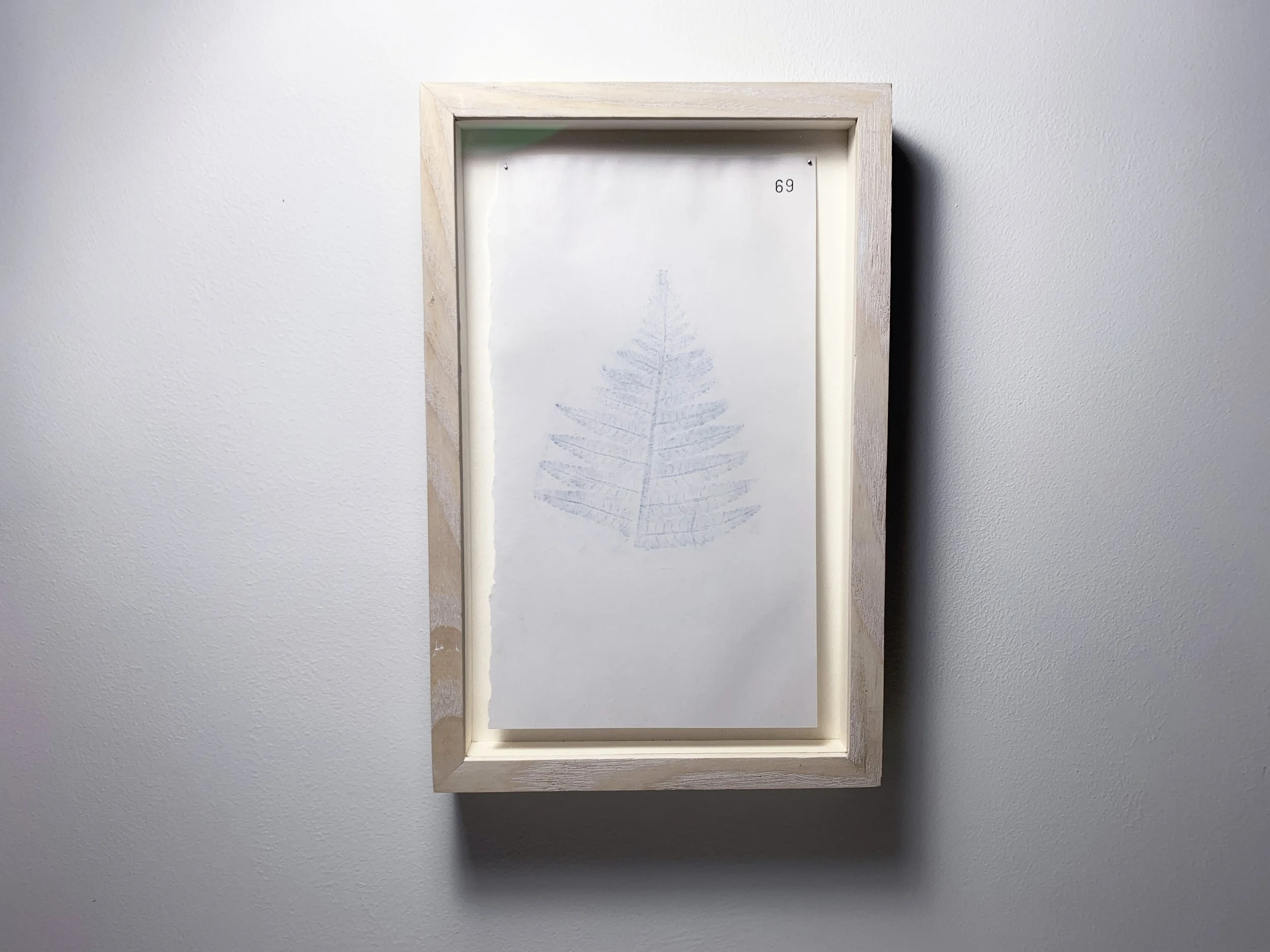 69 Raithín - Fern front.JPG