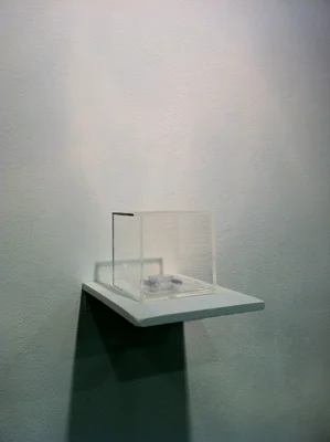 Beta Barium Borate crystal