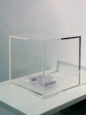 Beta Barium Borate crystal