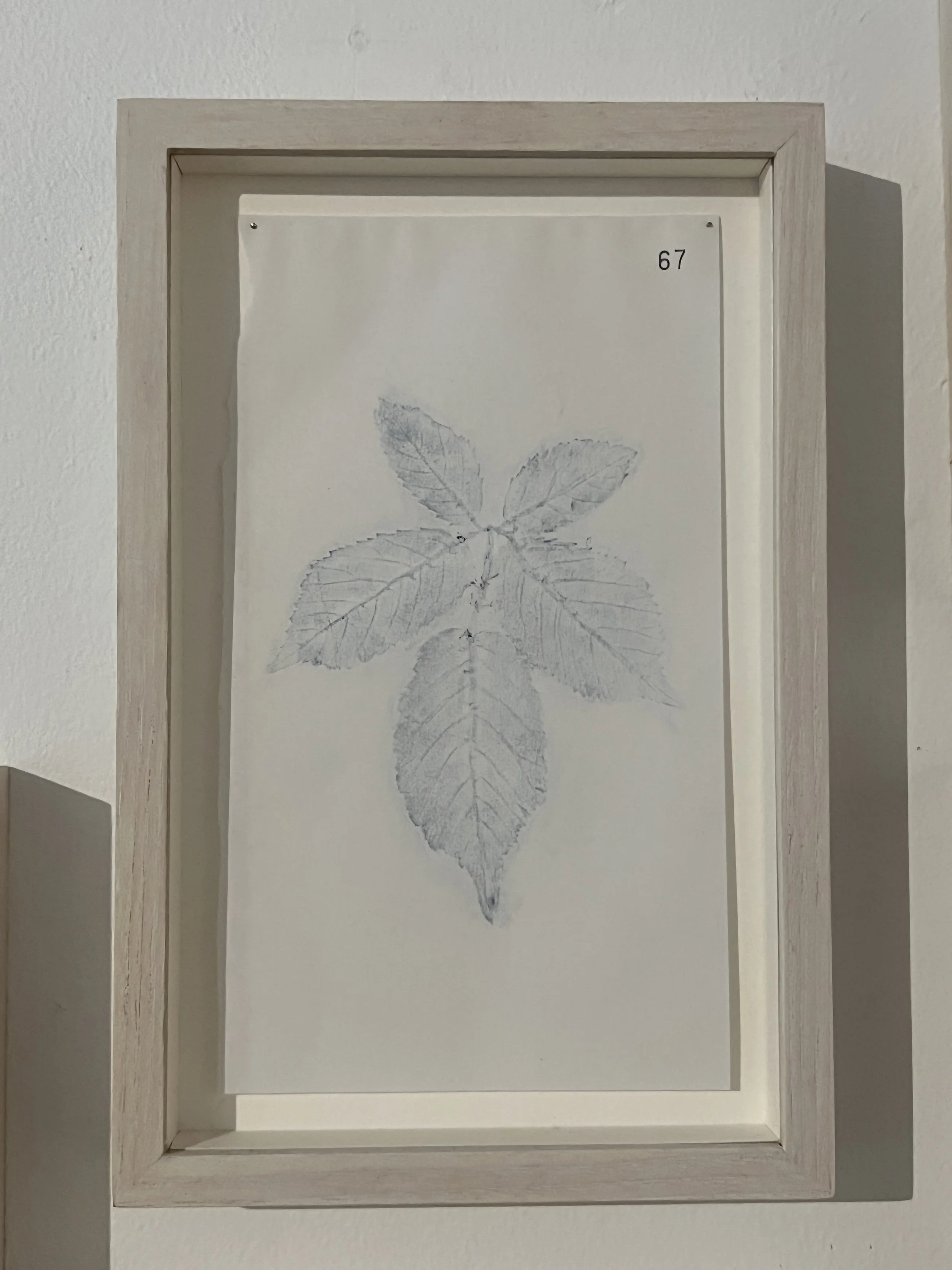 'Drisleog', unique carbon print 1 of 1