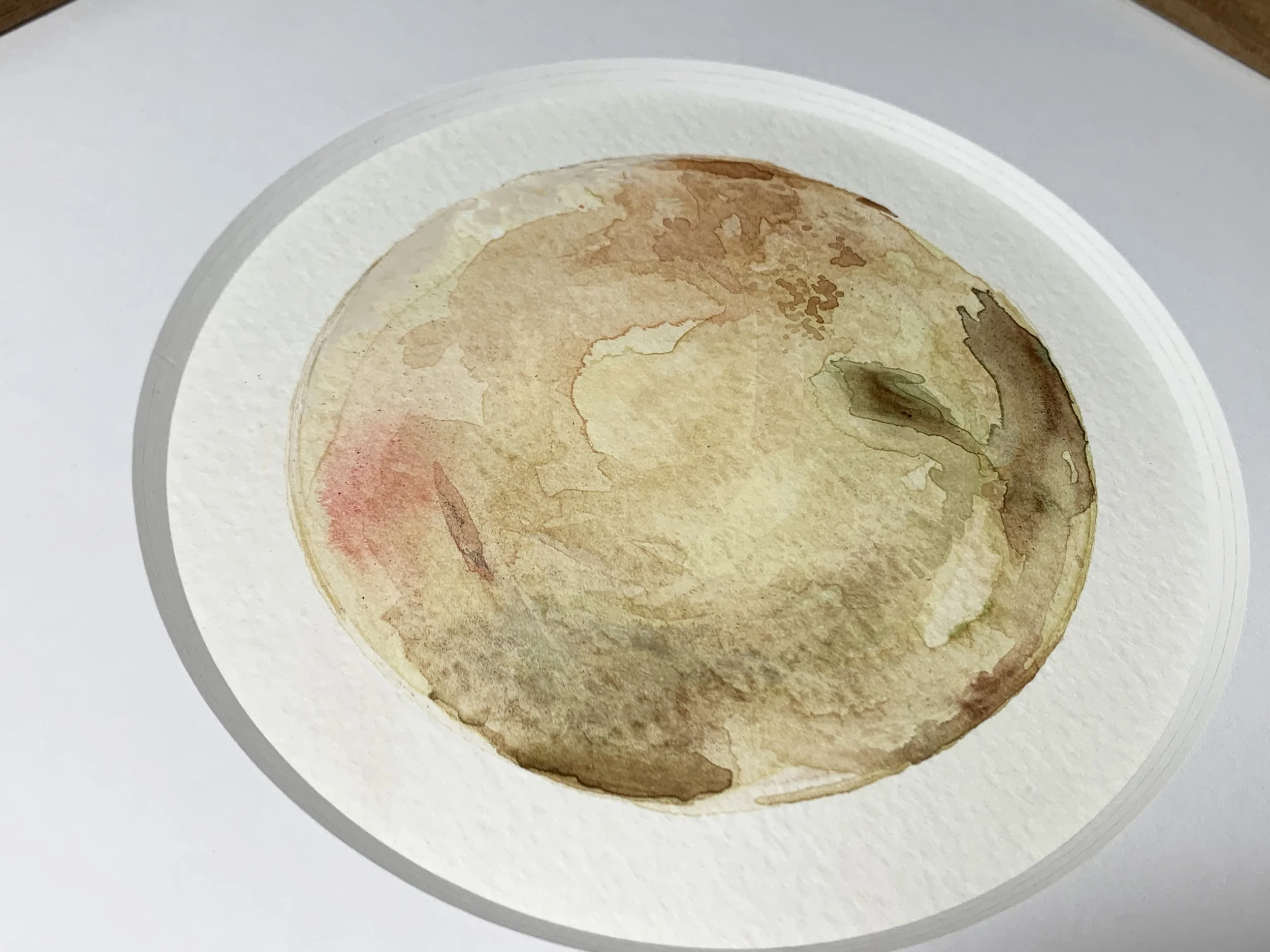 Nov 22nd detail b.JPG