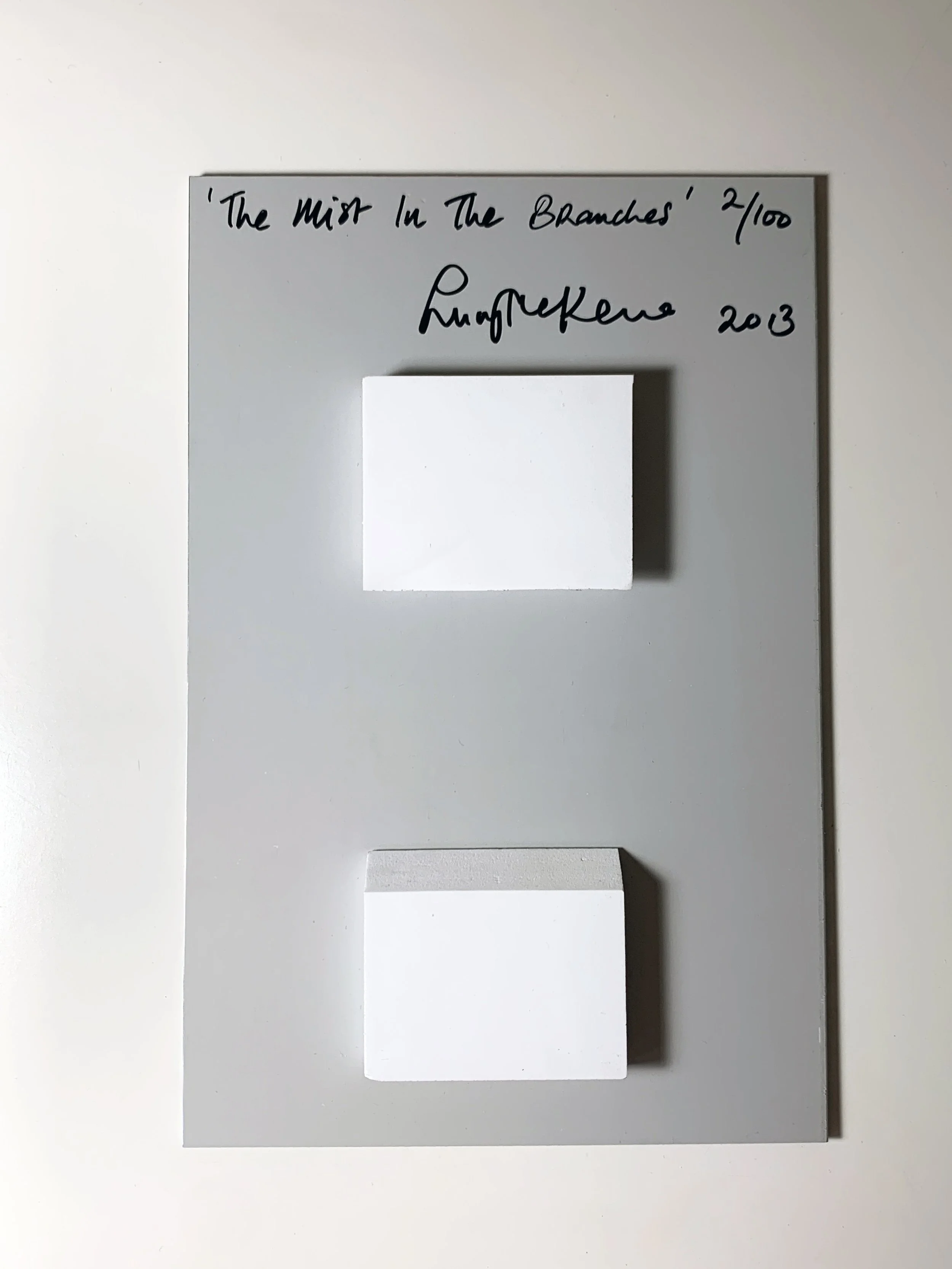 The Mist In The Branches back.JPG