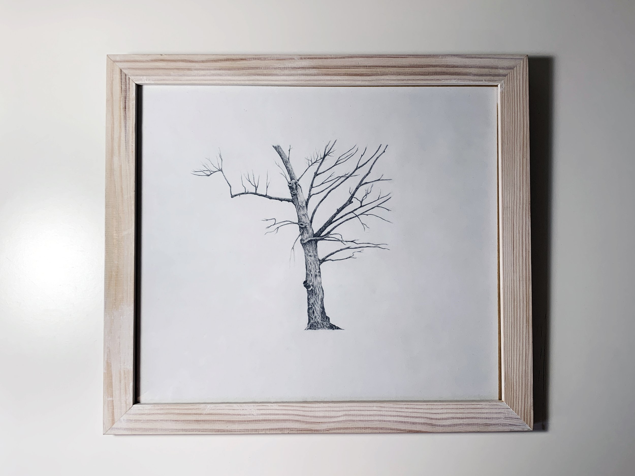 Tree VII front.jpg