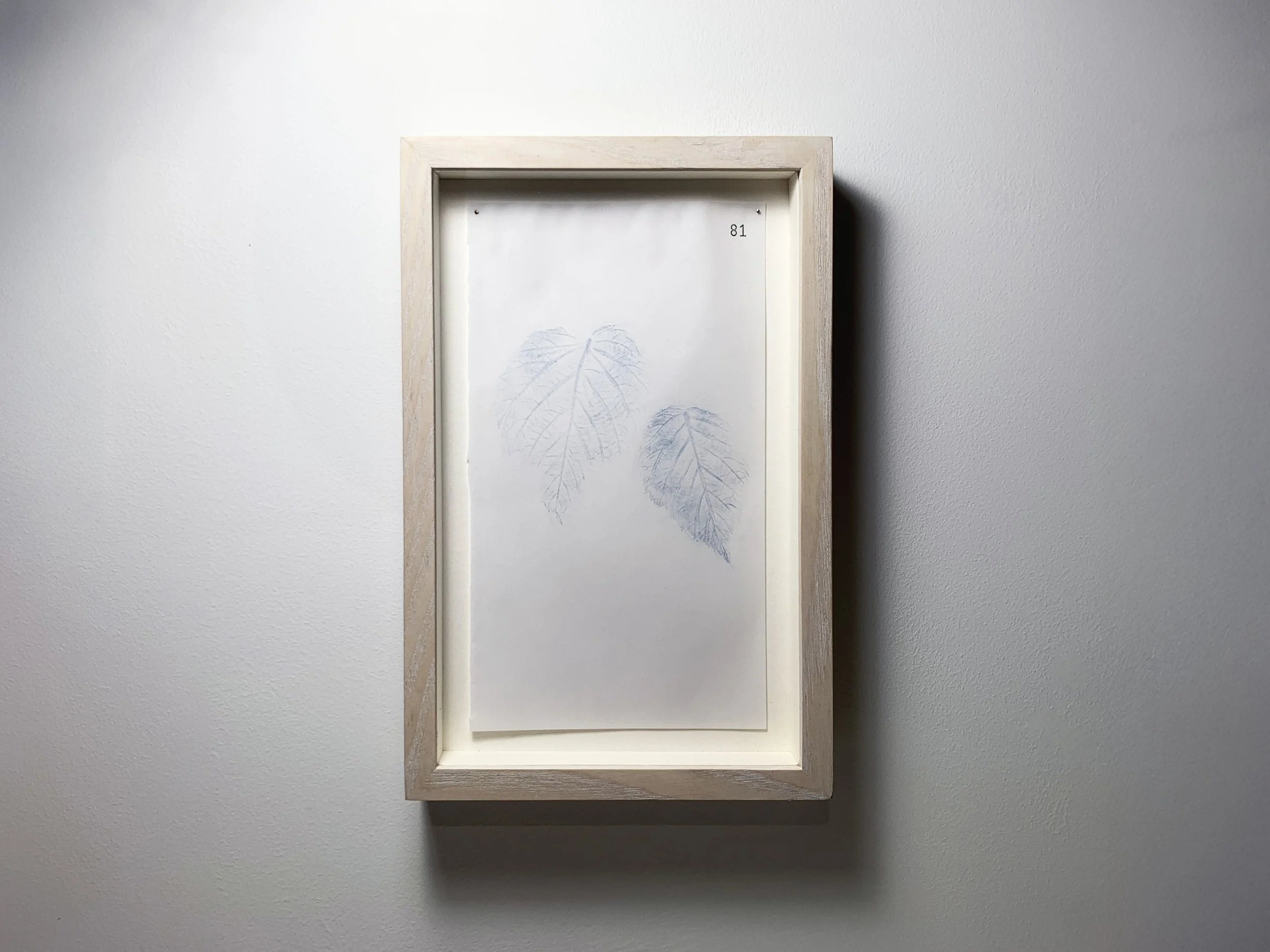 81 Sú Craobh - Raspberry front.JPG