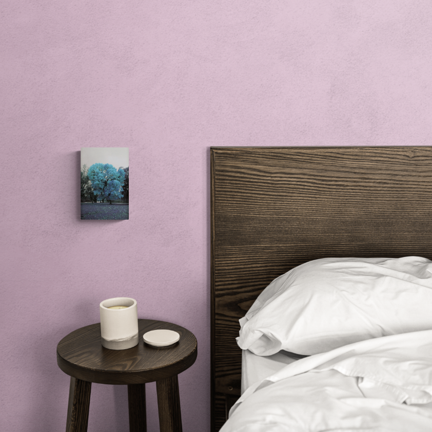 The Magic Tree canvy.png