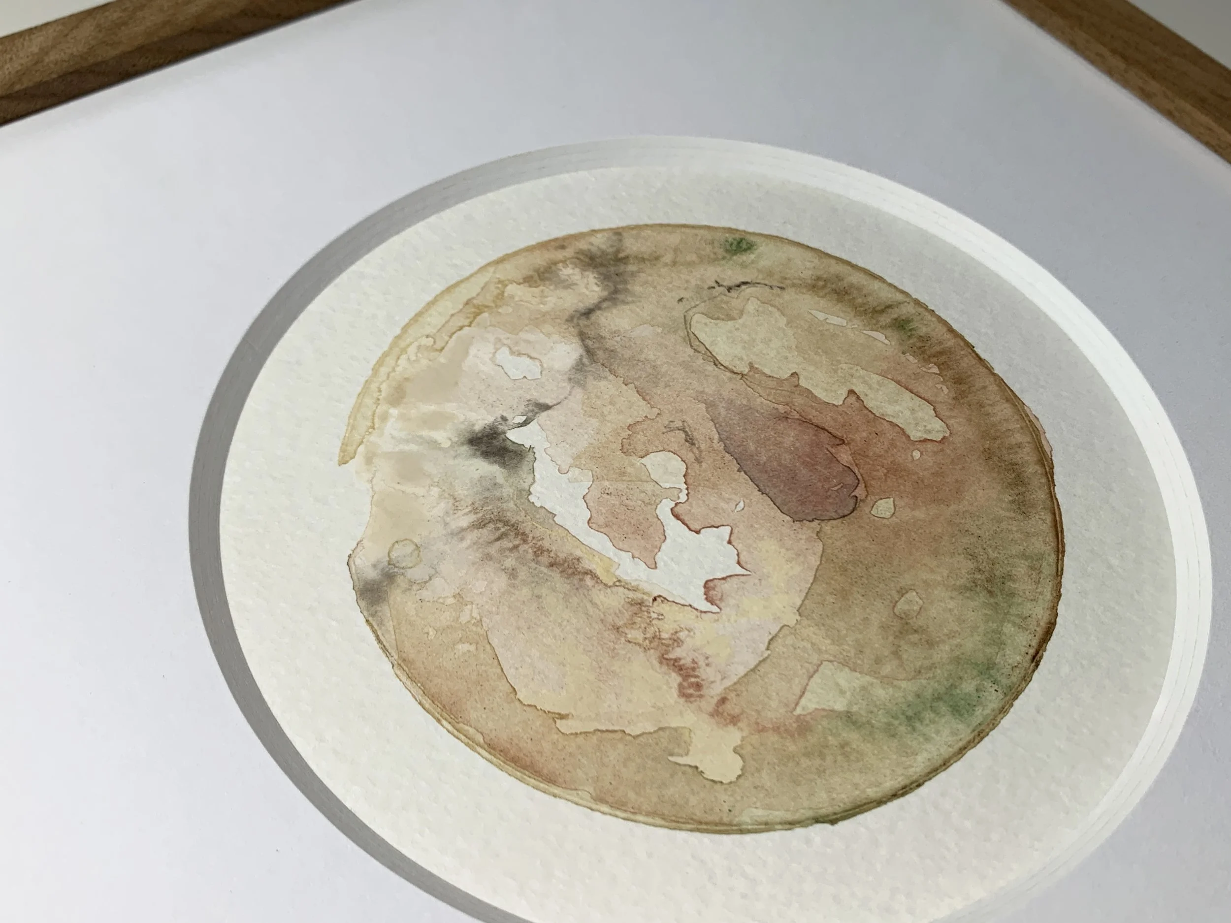 Dec 1st detail b.JPG