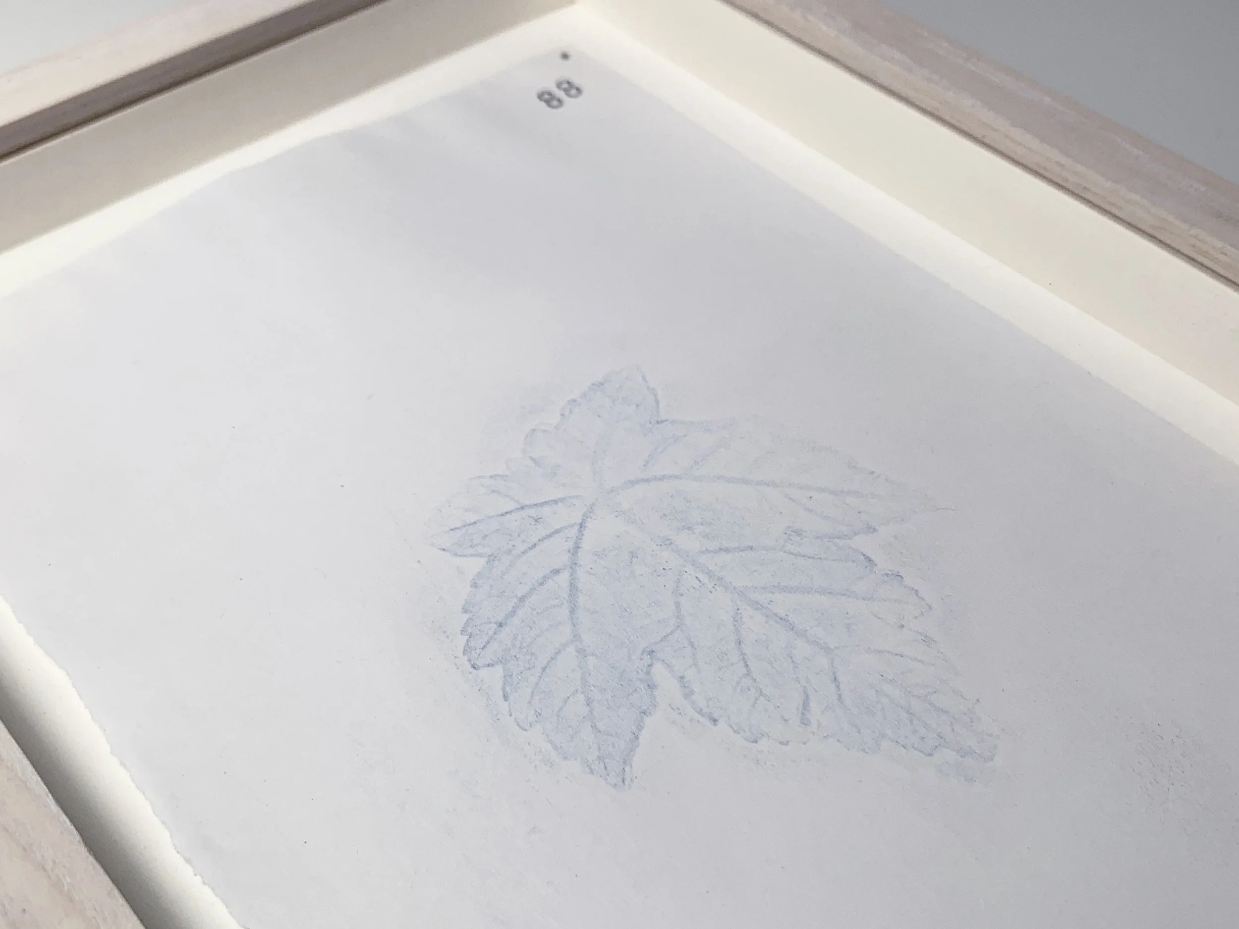 88 Seiceamar detail.JPG