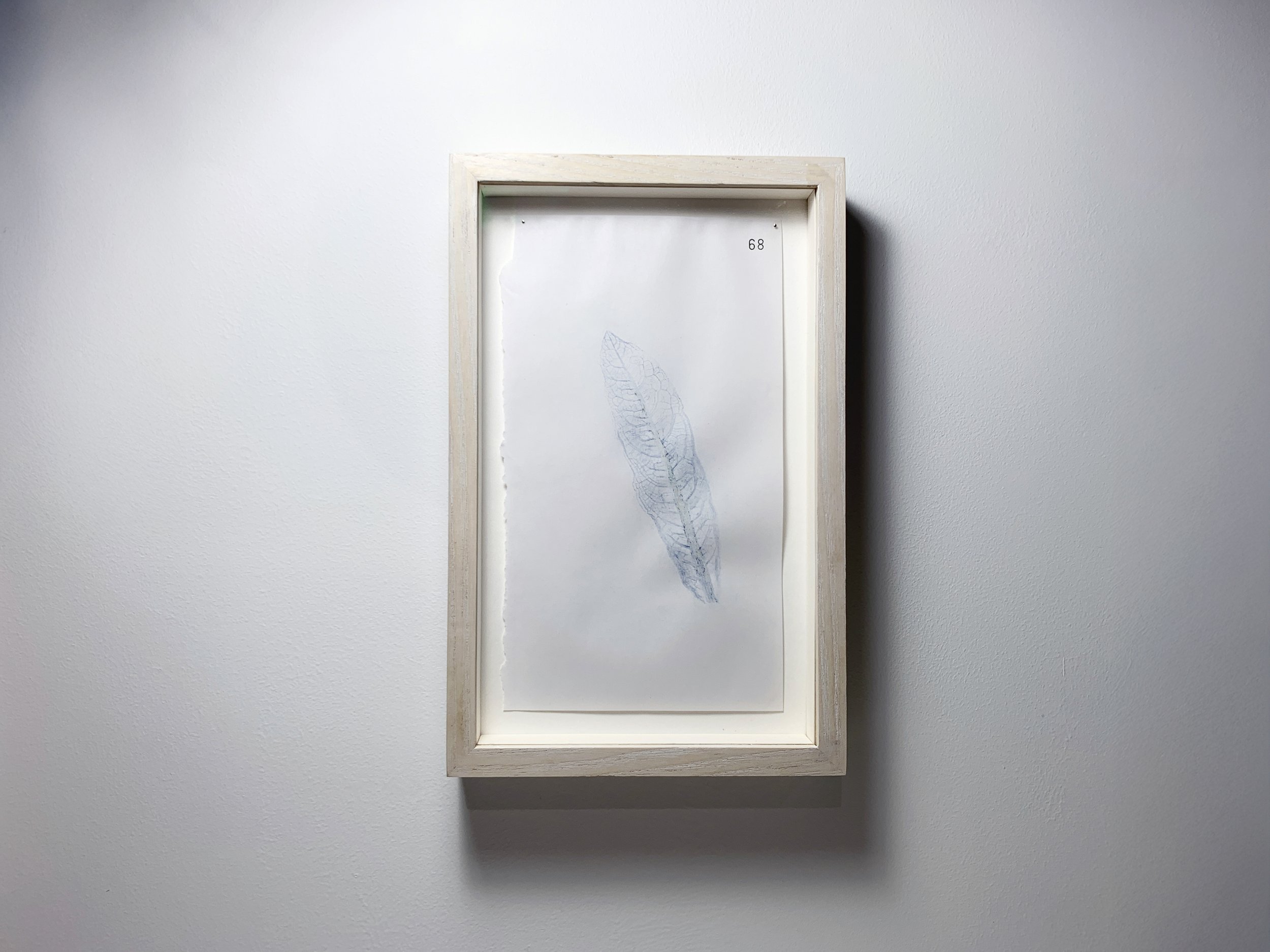 68 Bearnán Beárnach - Dandelion front.JPG