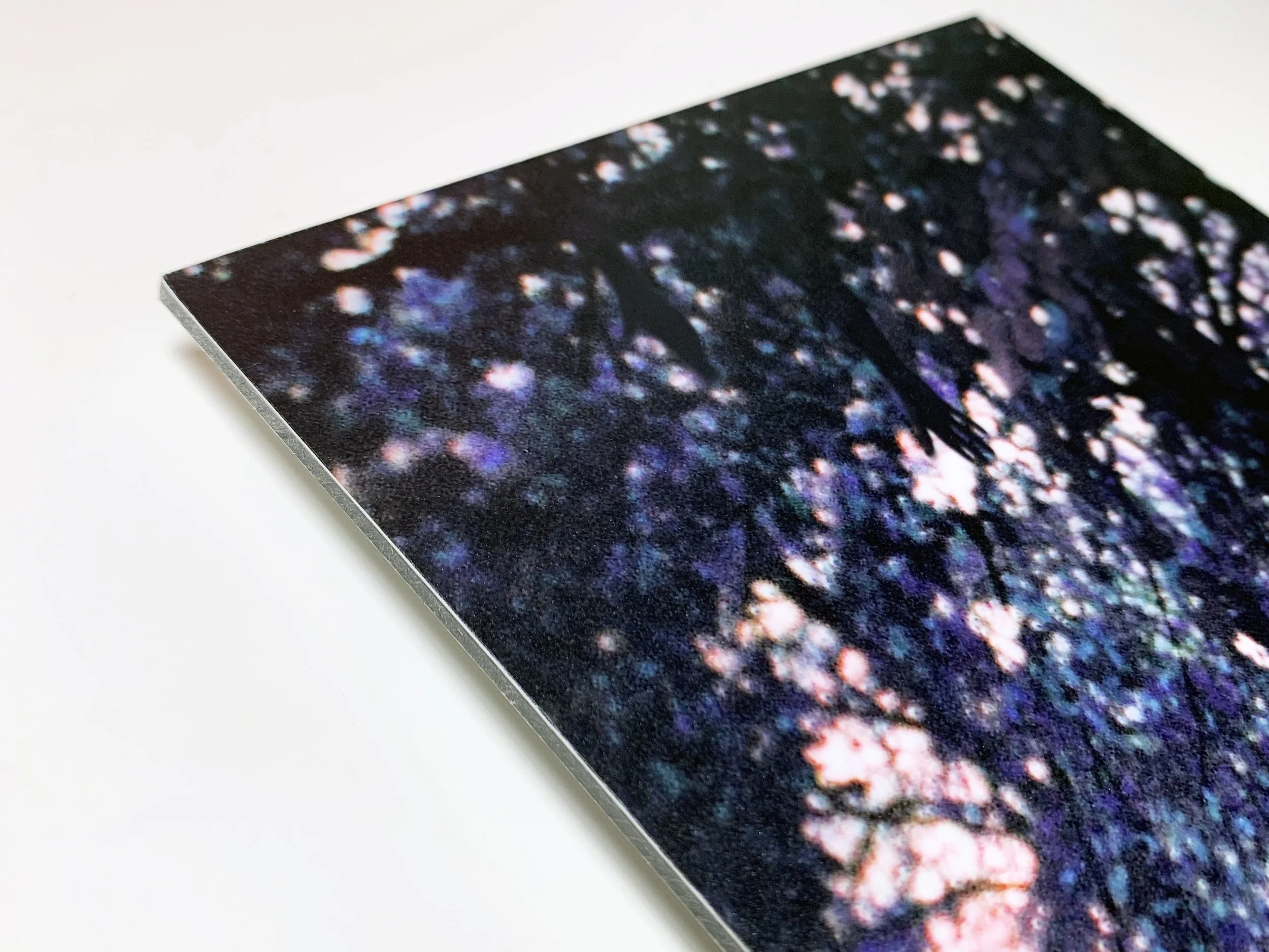 Hiding House detail.JPG