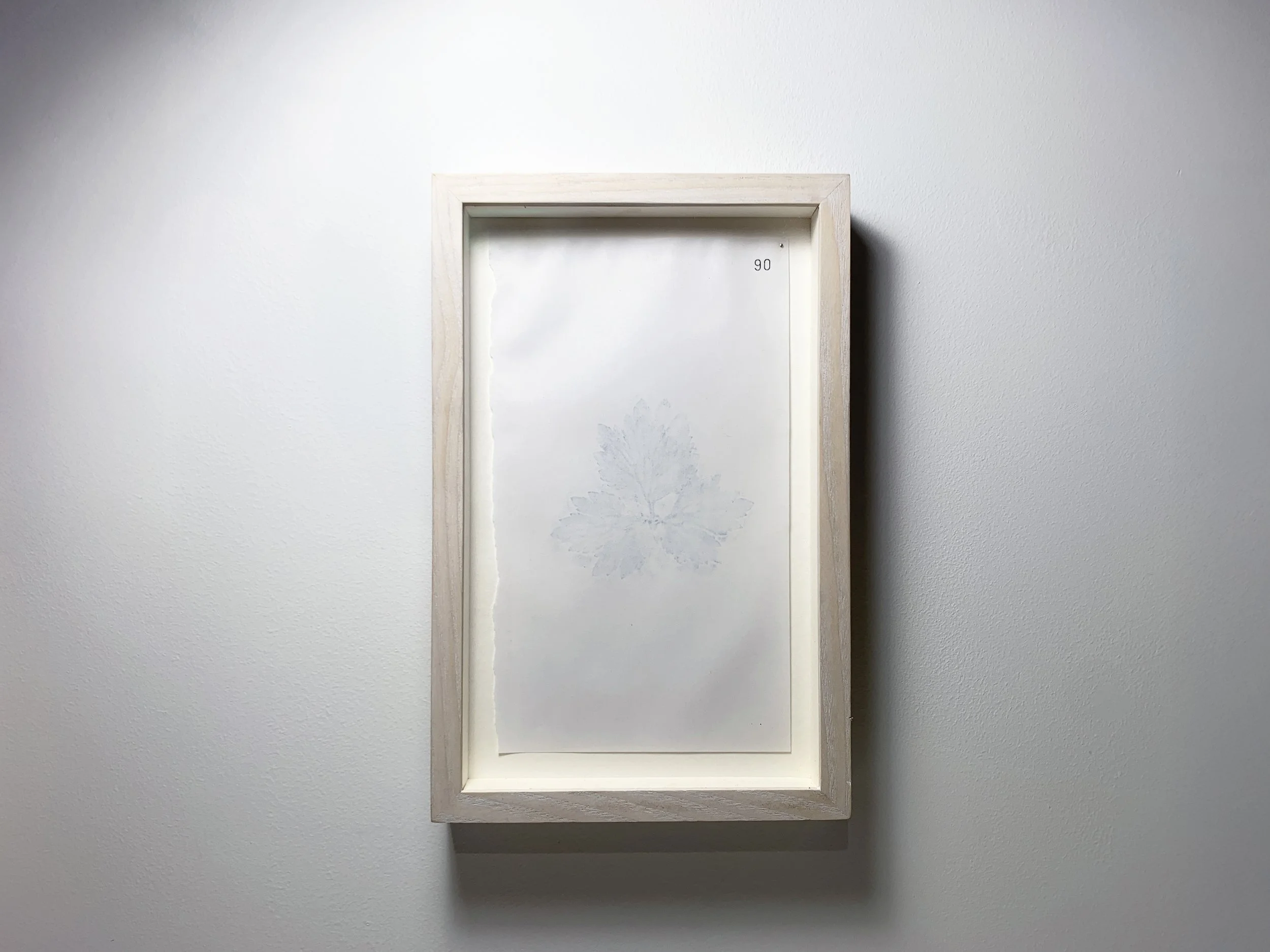 90 Cearbhán - Buttercup front.JPG