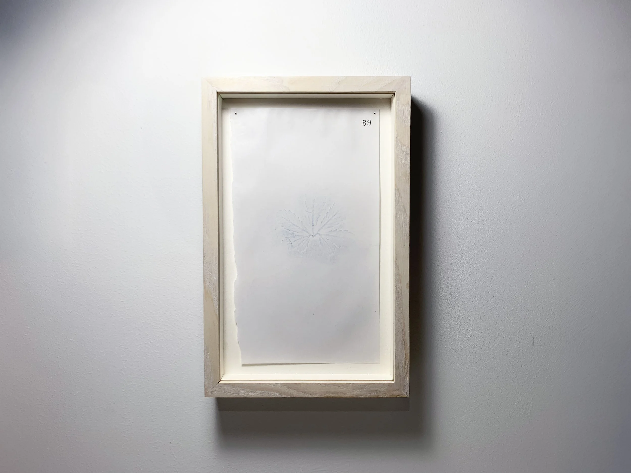 89 Mhéar Mhuire - Vetch front.JPG