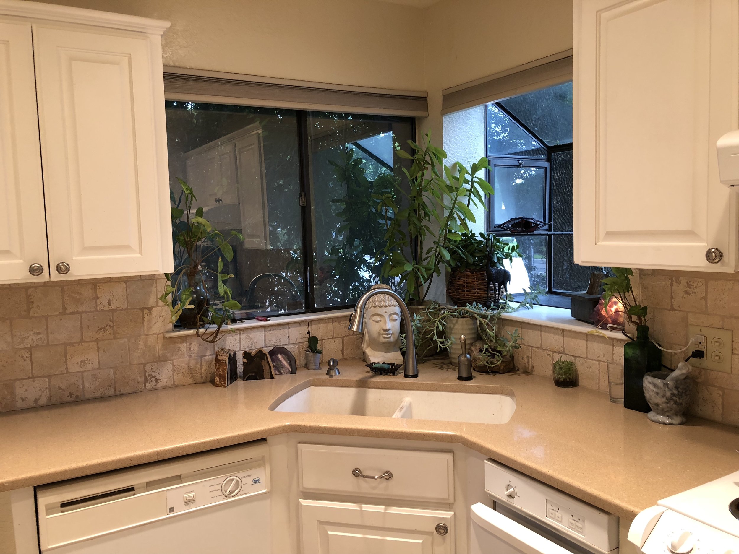 Kitchen sink.jpg