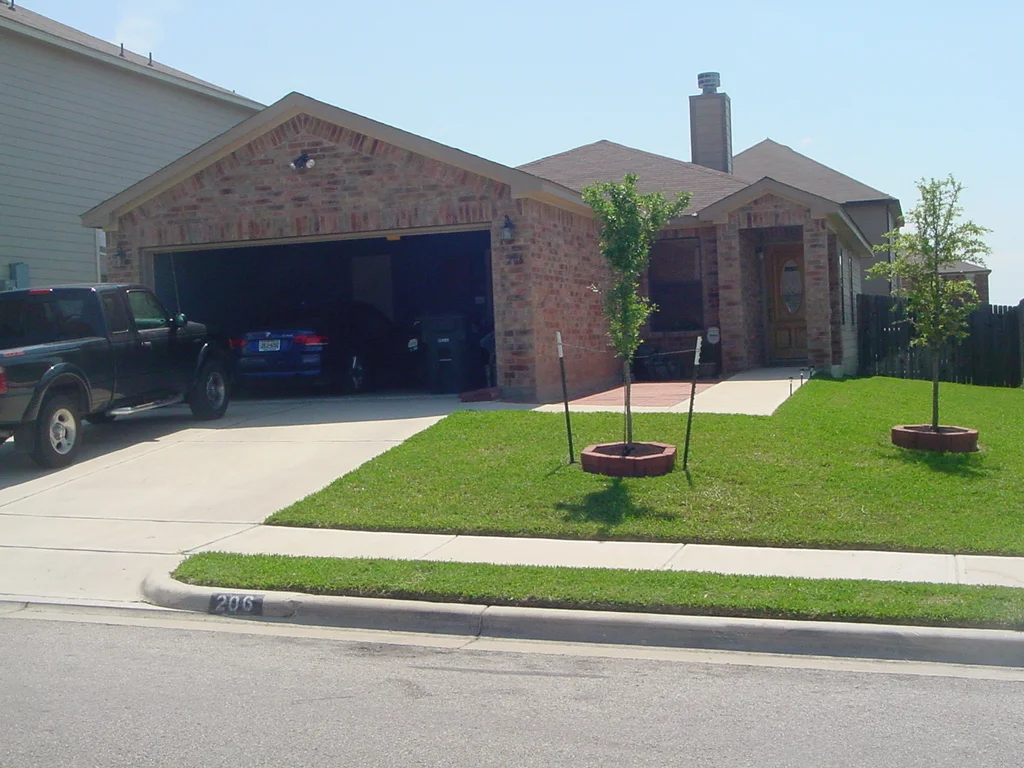 206 Calixto front.jpg