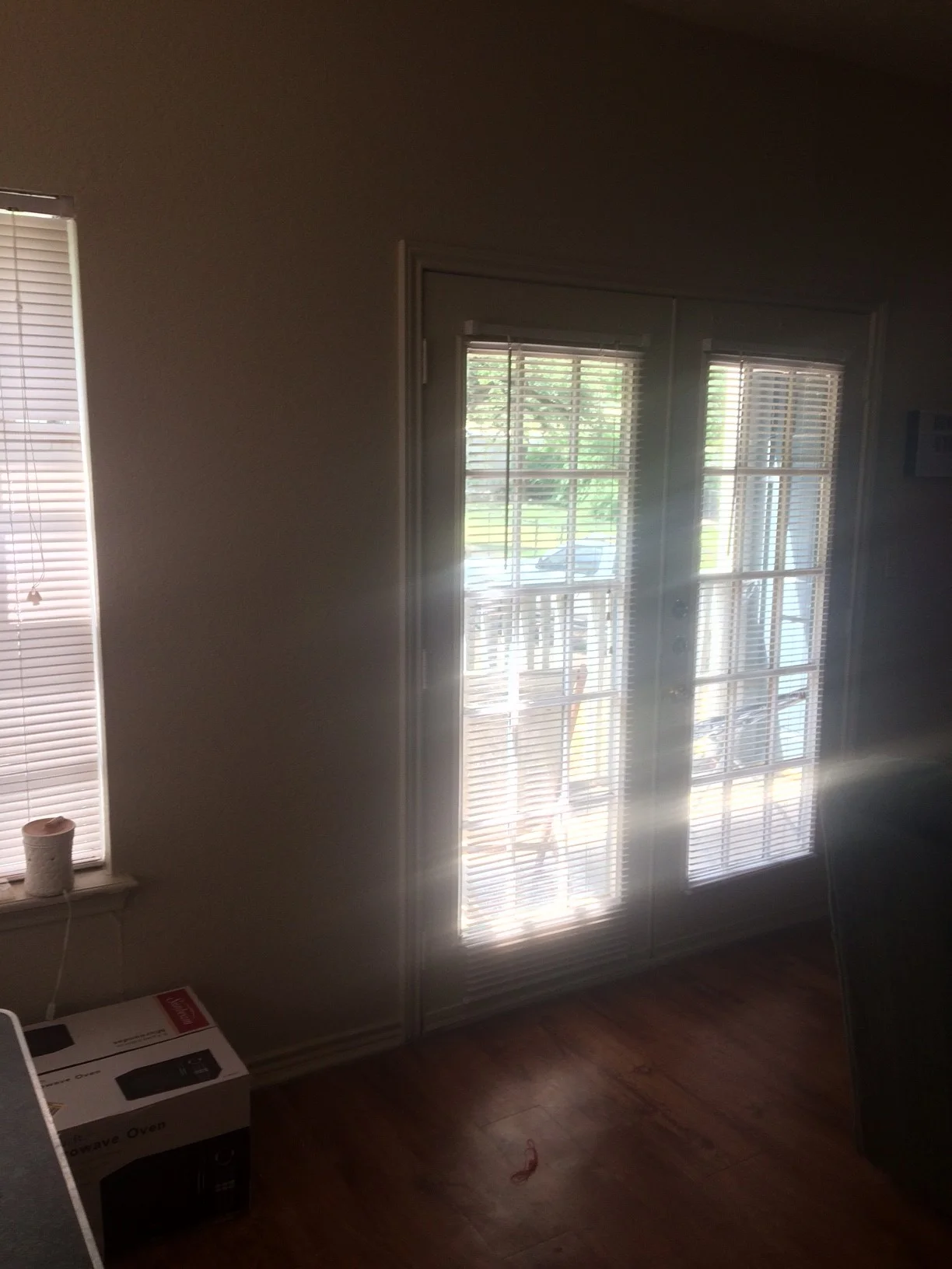 image5.jpeg