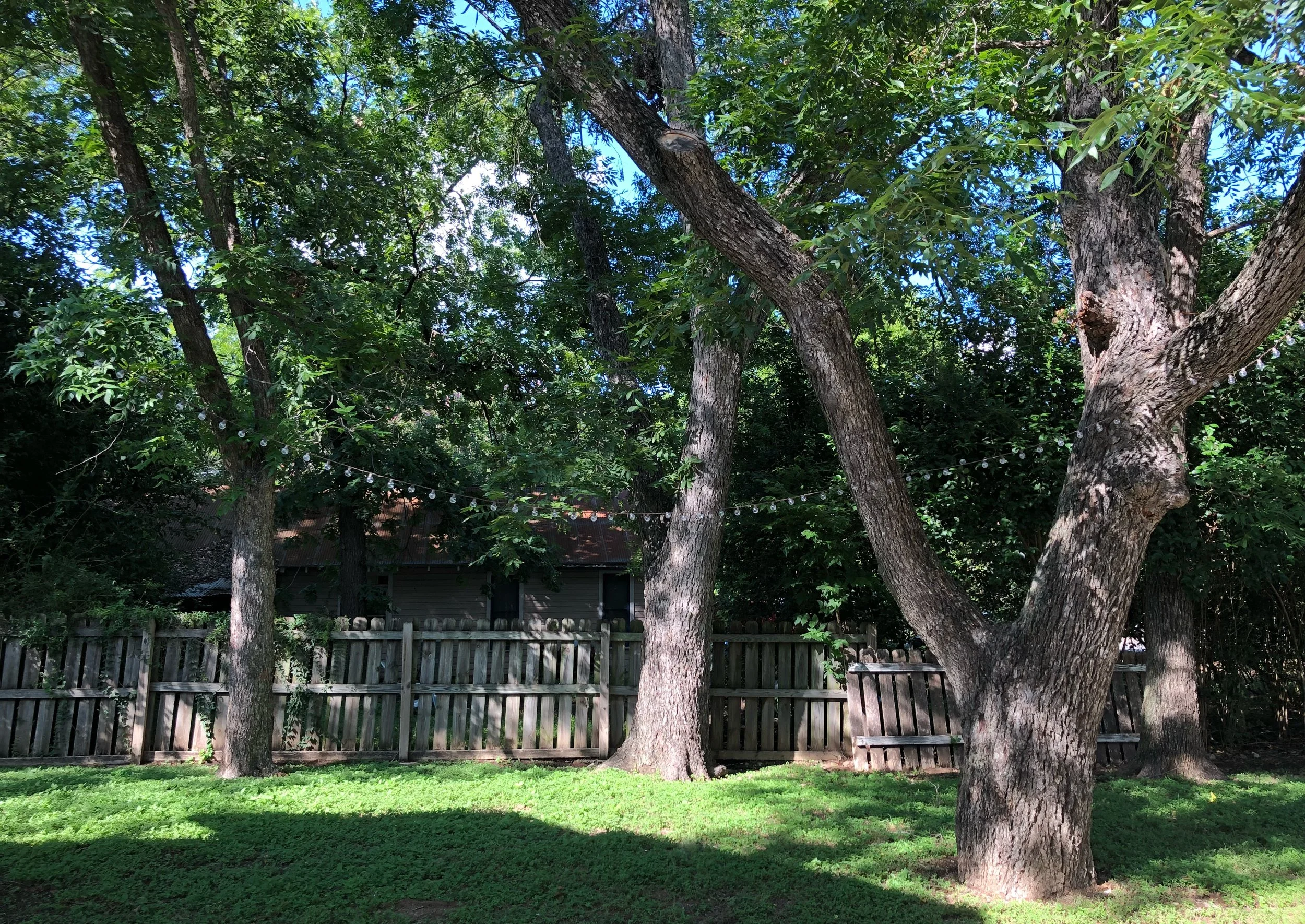 Backyard