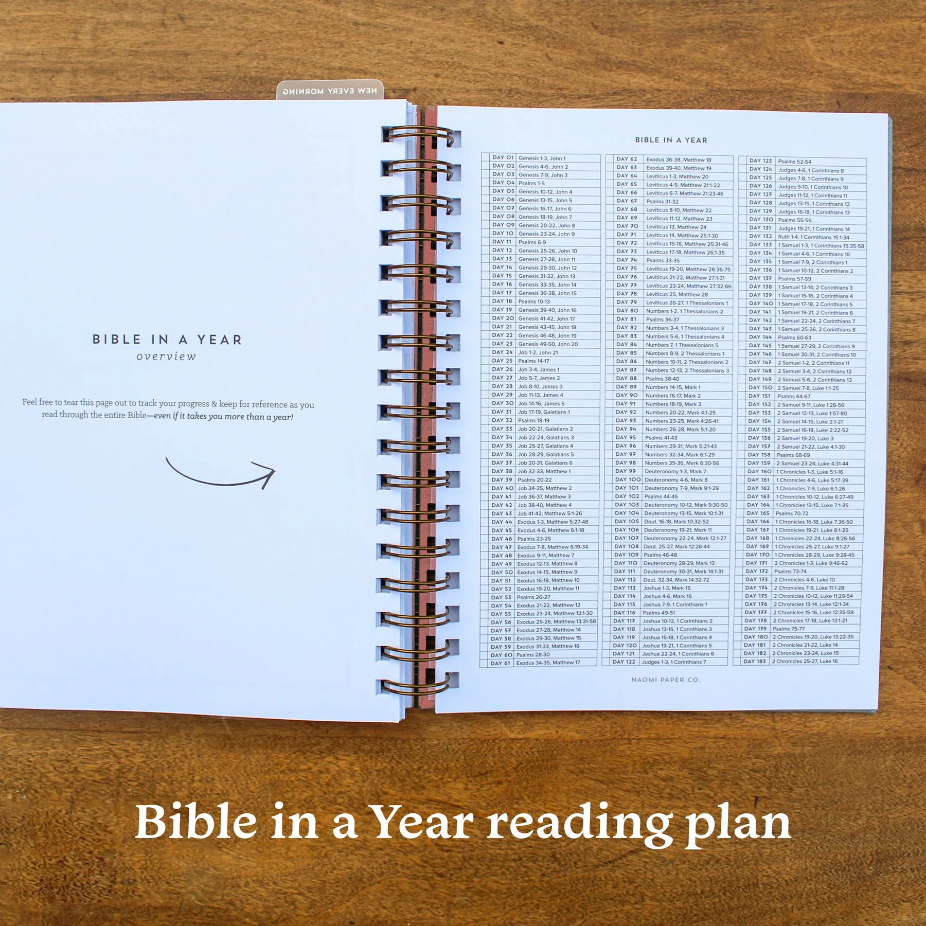 naomipaperco-2027-christian-planner-bible-reading-plan.jpg