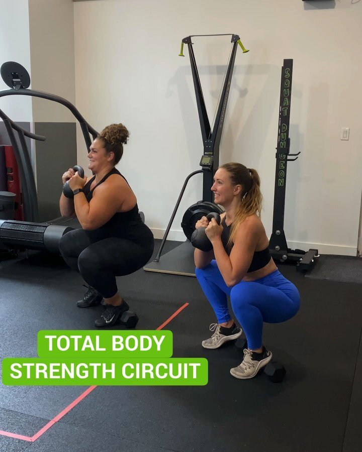 Another fun Full Body circuit with @bethalexanderfitness 💪💪💪
-
Try out this workout and comment below how it goes 🔥🔥🔥
-
-
-
#mondaymotivation #trxworkout #lululemon #lululemonambassador #workout #fitness #fitspo #liftheavy #plussizefitness #all