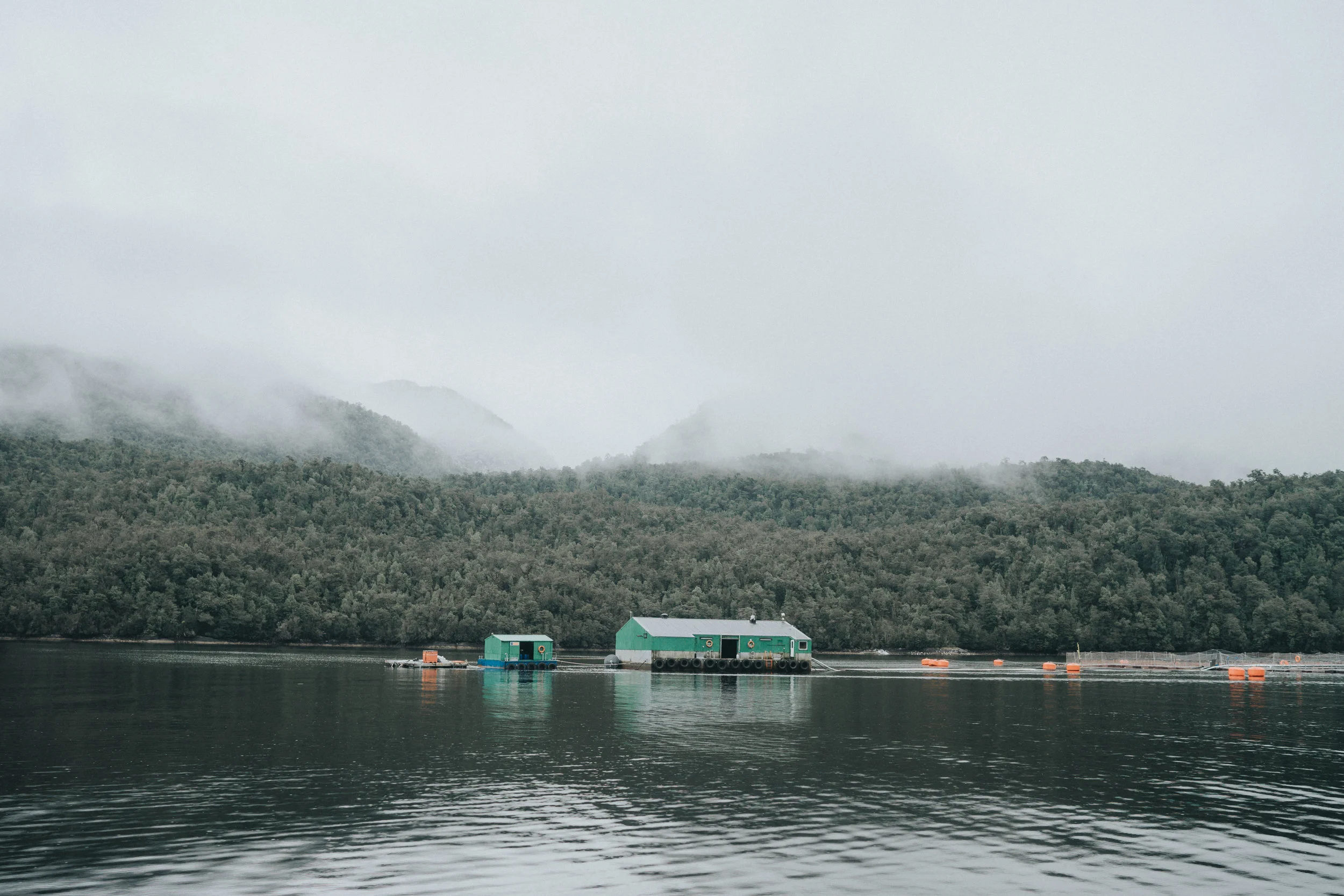 Some of the salmon farms we saw along the way.