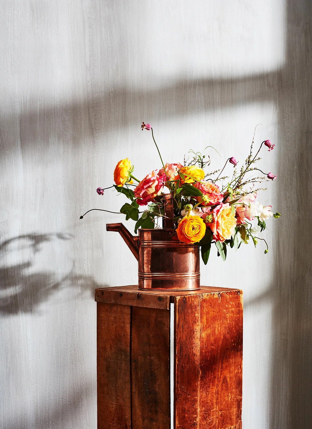 Erika_Test_1 lo res.jpg